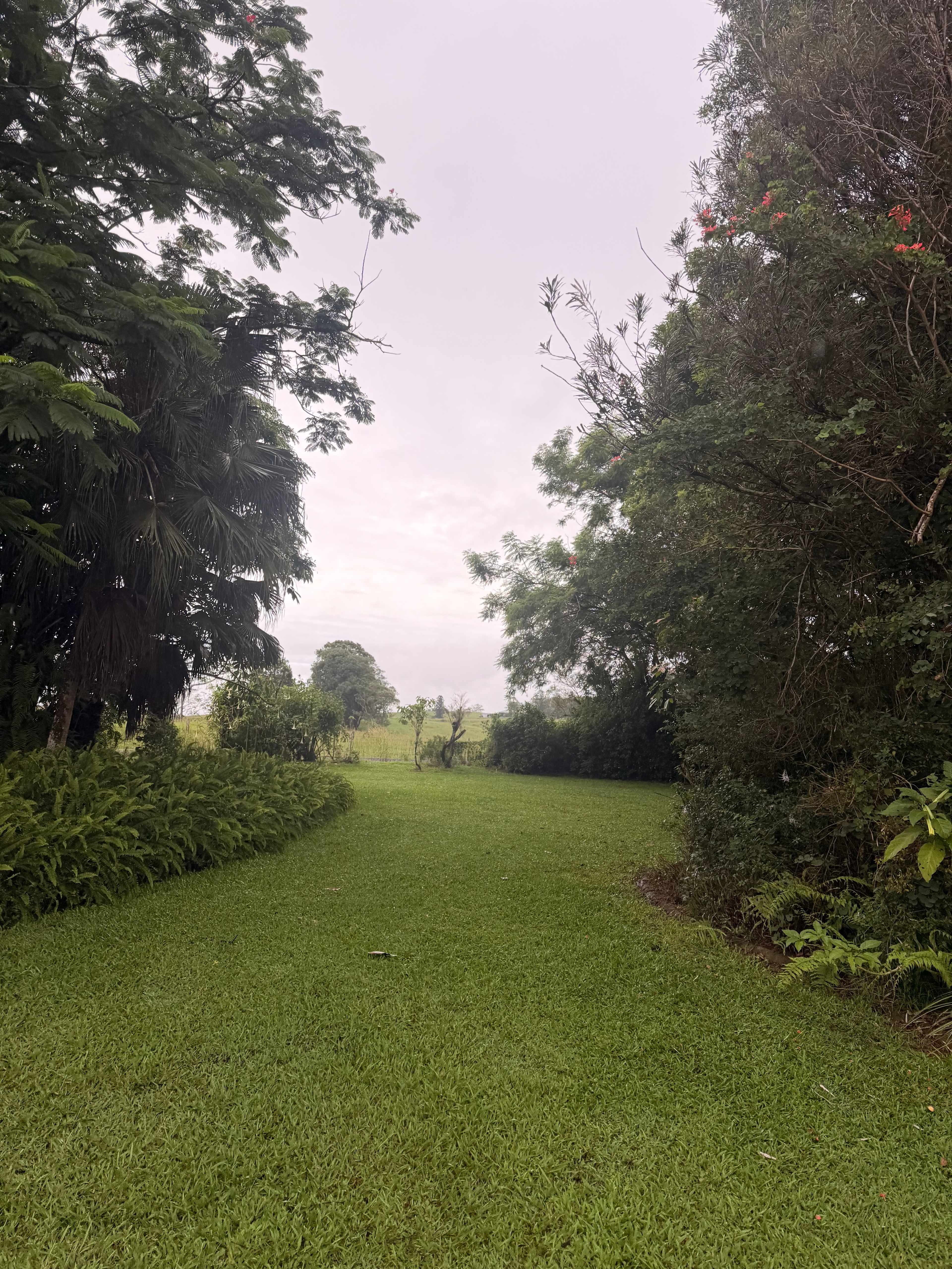 Three Falls Holiday Millaa Millaa