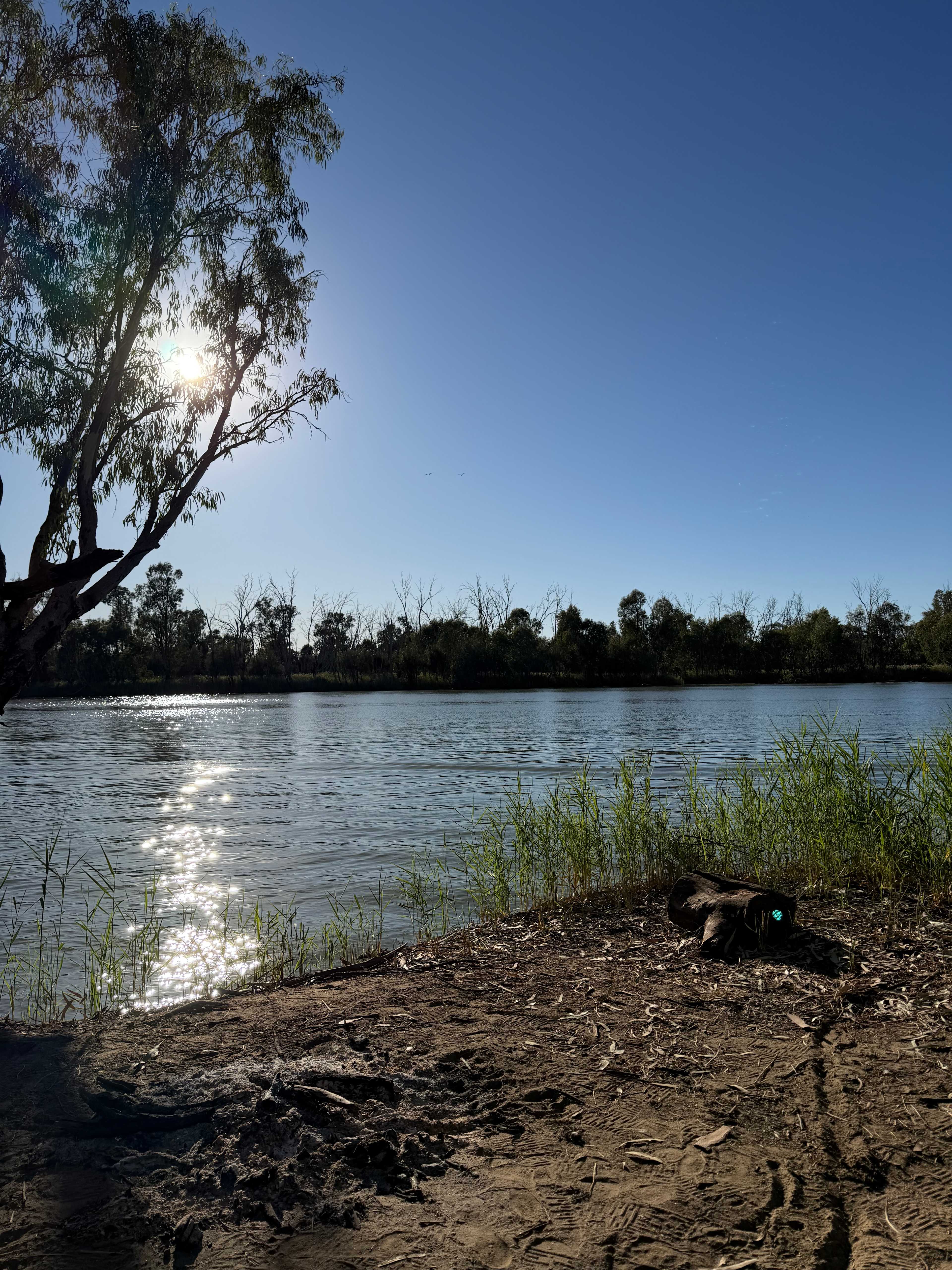 Rondel River Reserve
