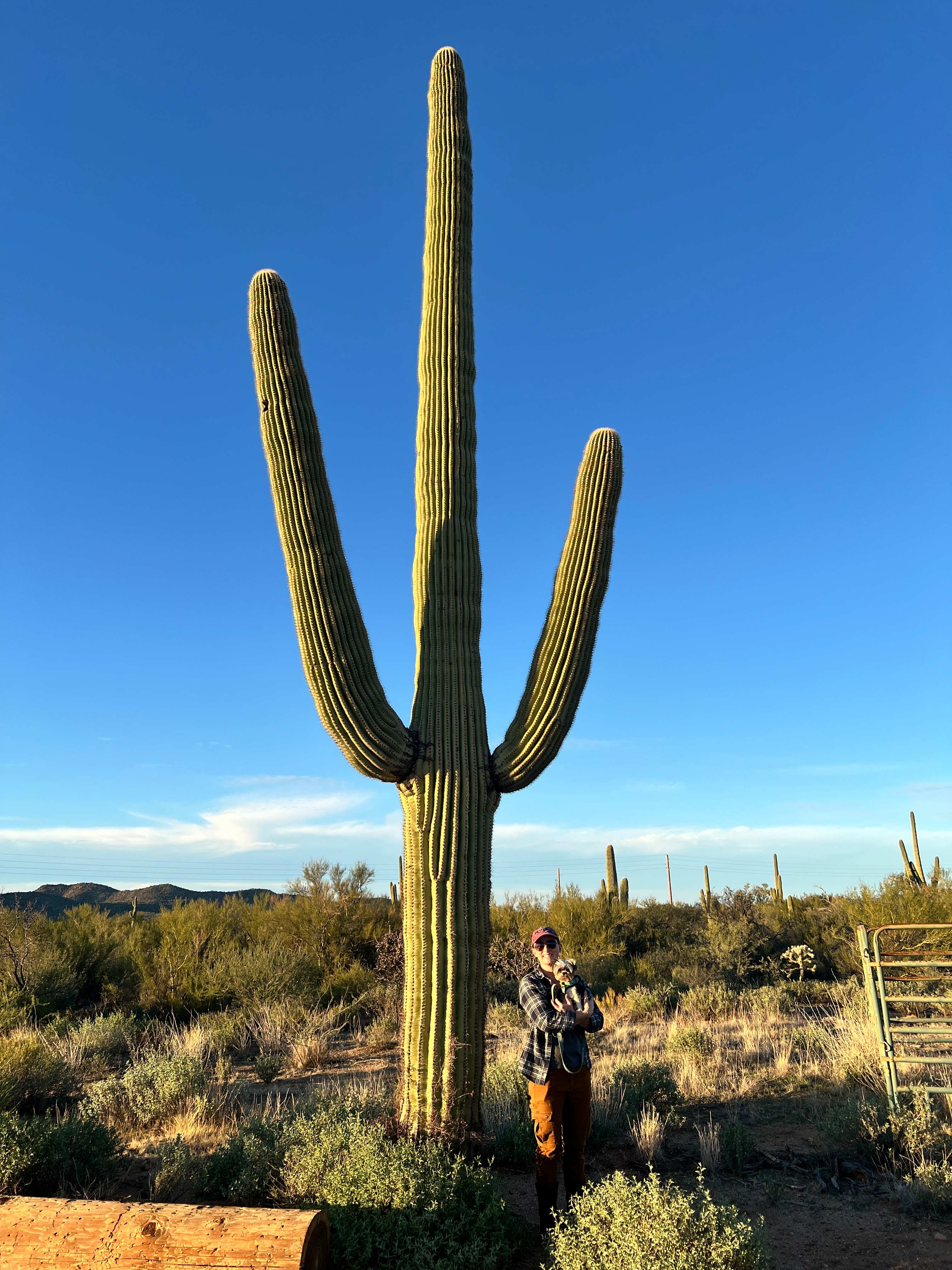 Weary Traveler Haven
