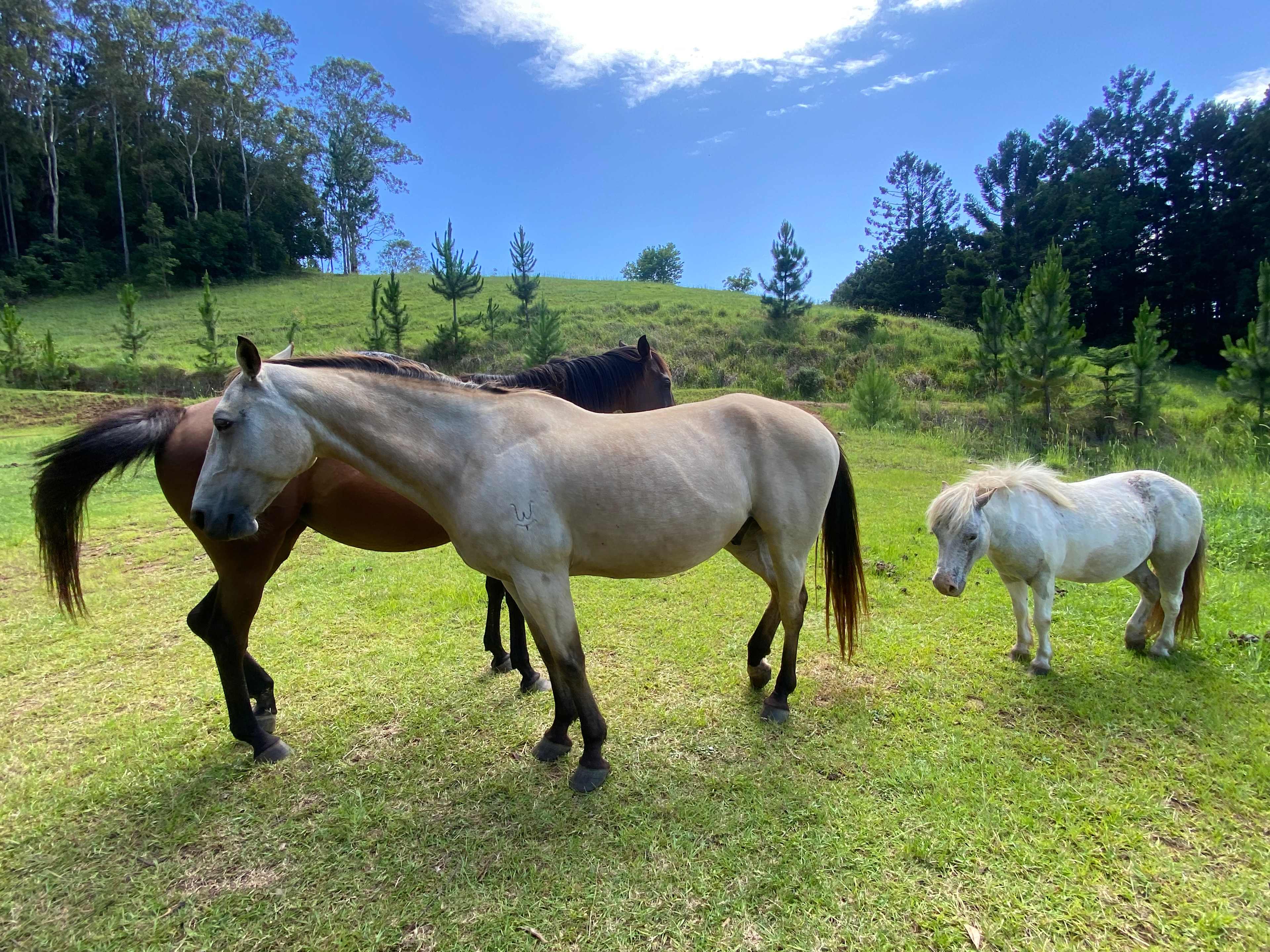 "JALUM" Undulating Farmland!
