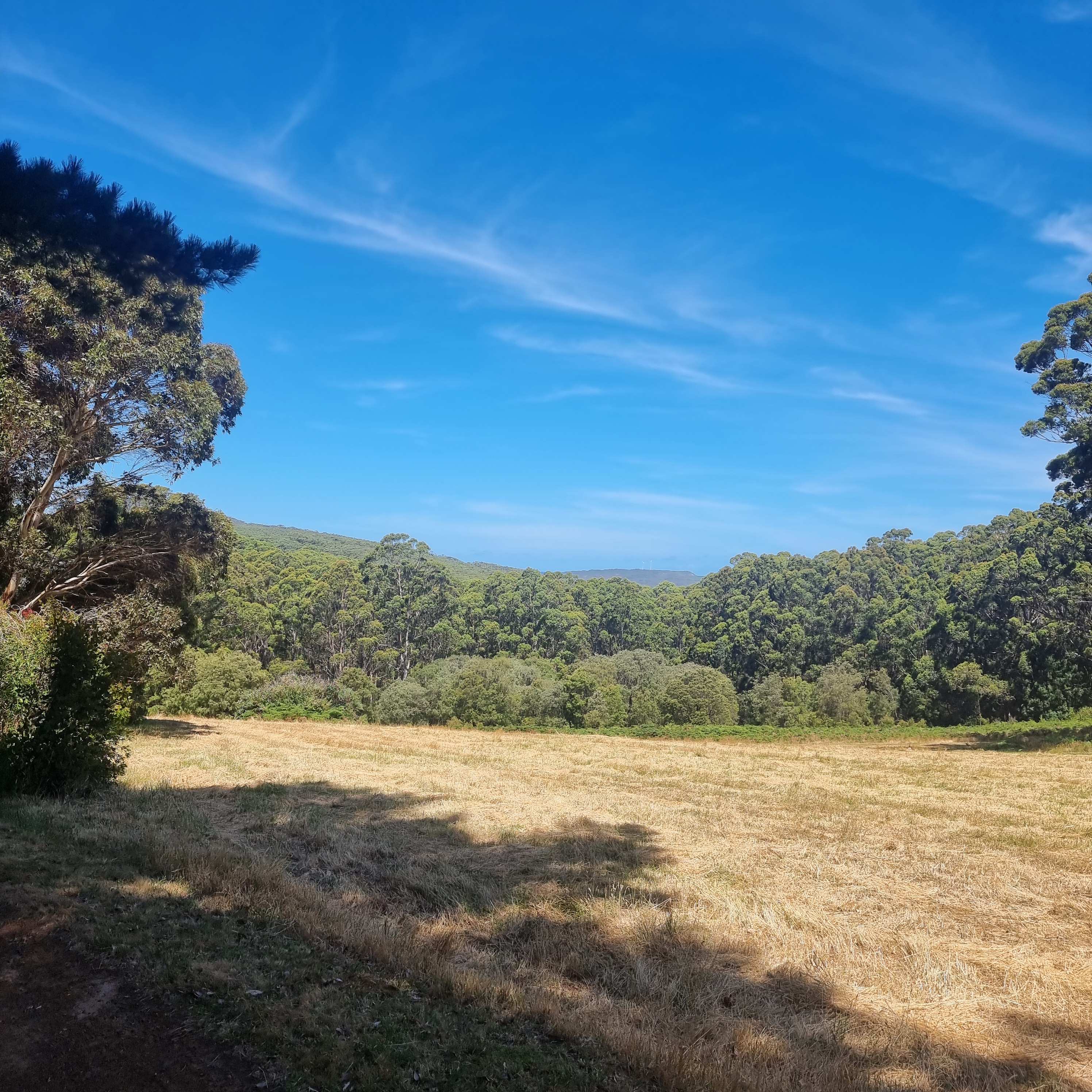 Phillips Brook Estate