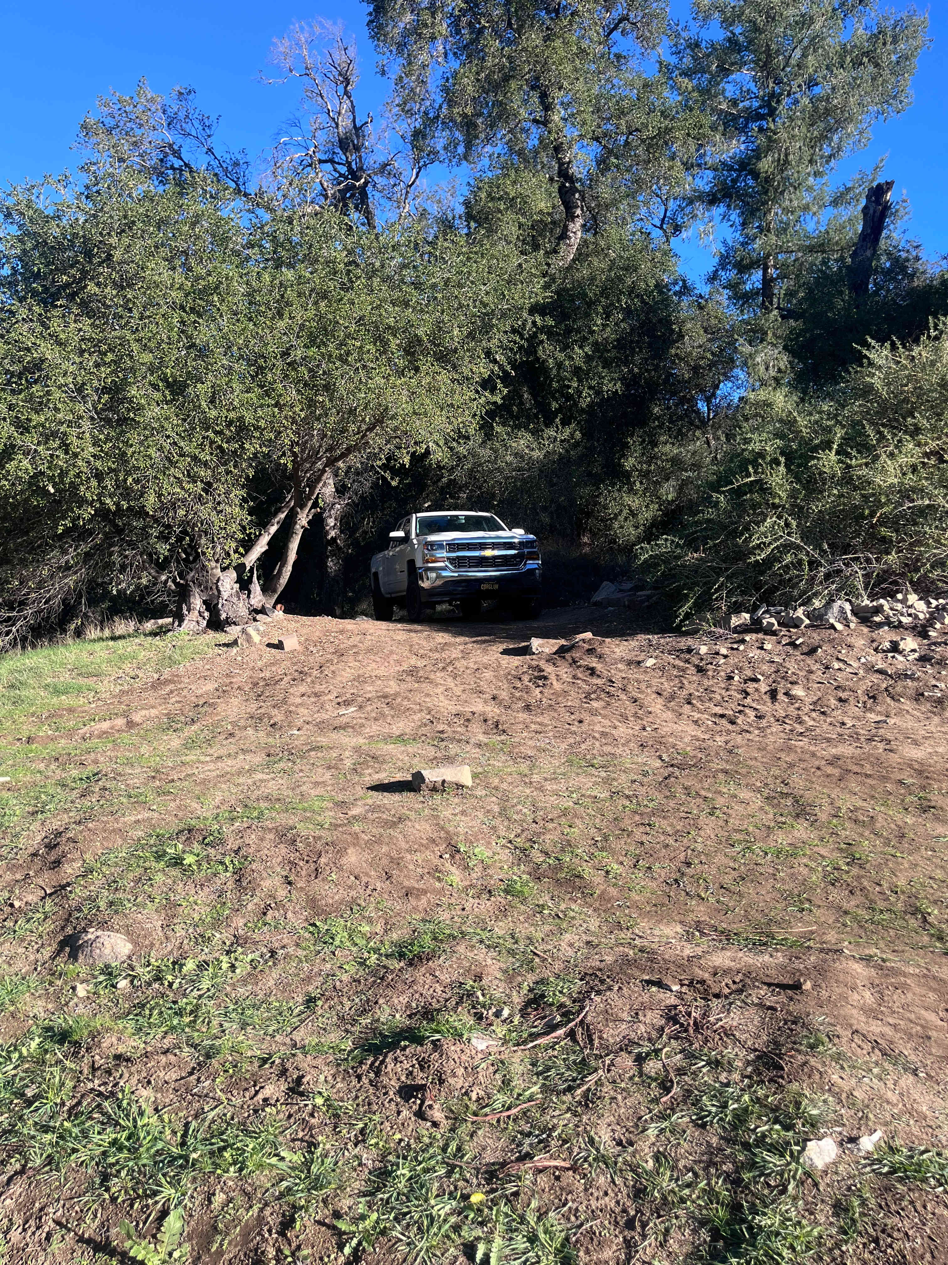 Magical Harrison Serenity Ranch