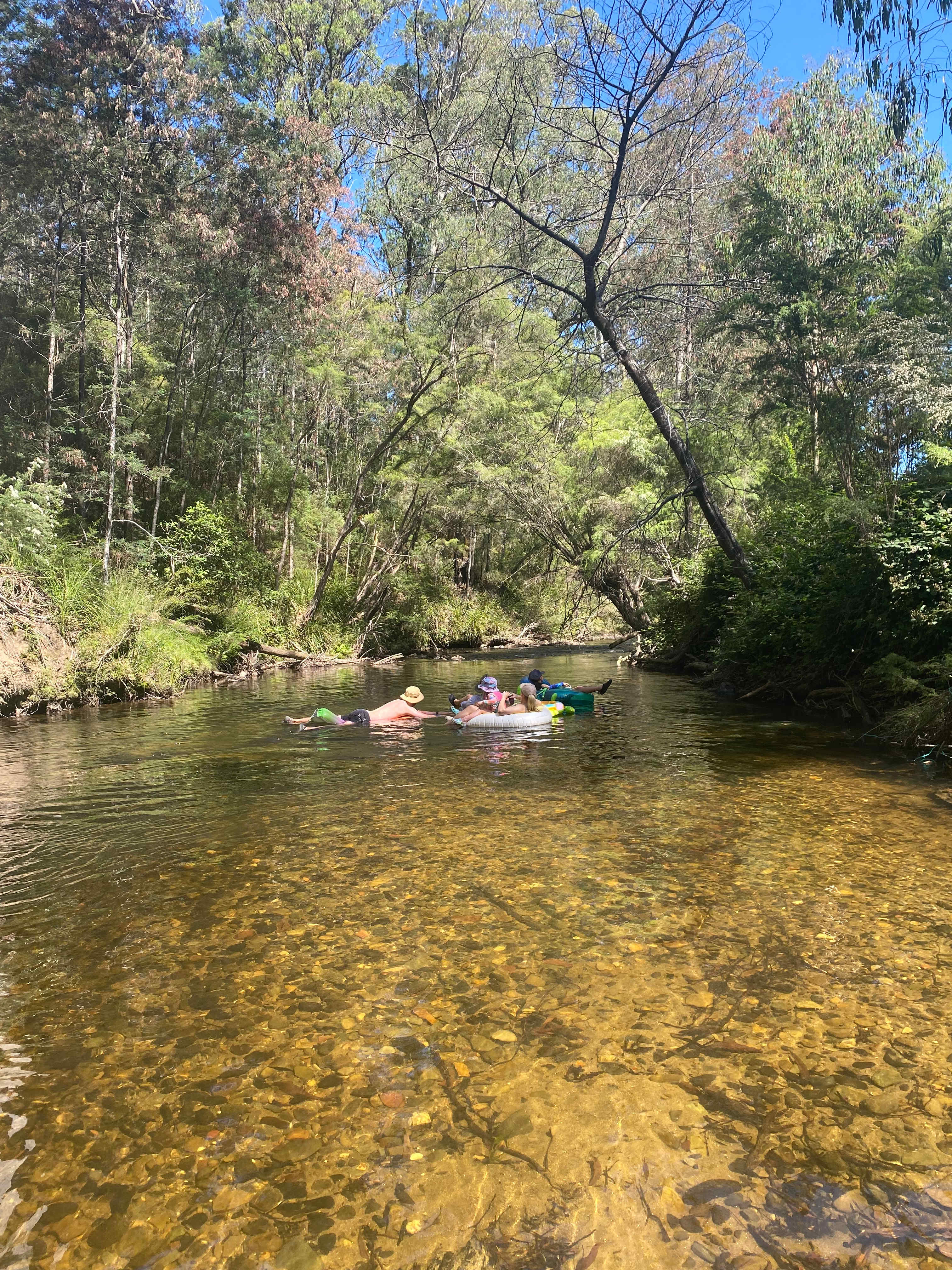 Hazelnut Valley Farm Stay
