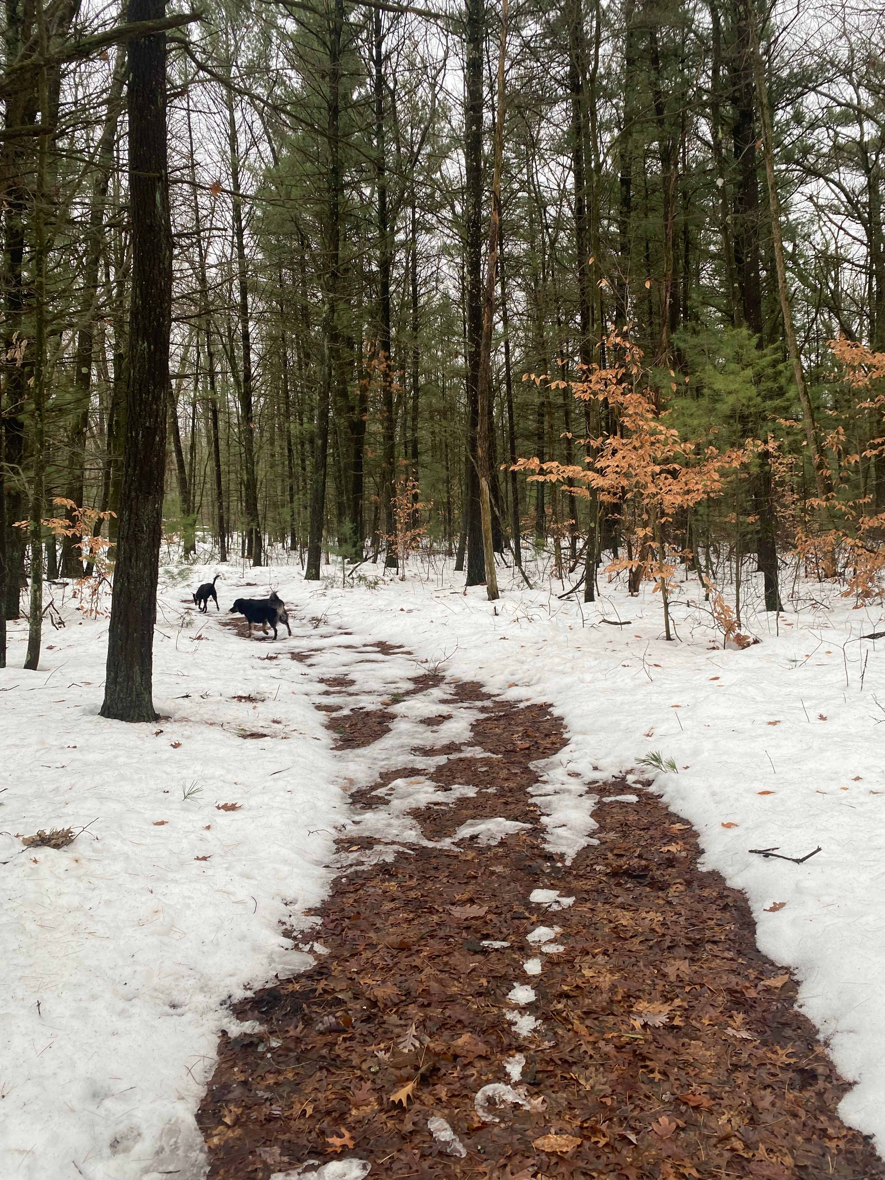 Dalton Traders  Tents  RV's  Cabins