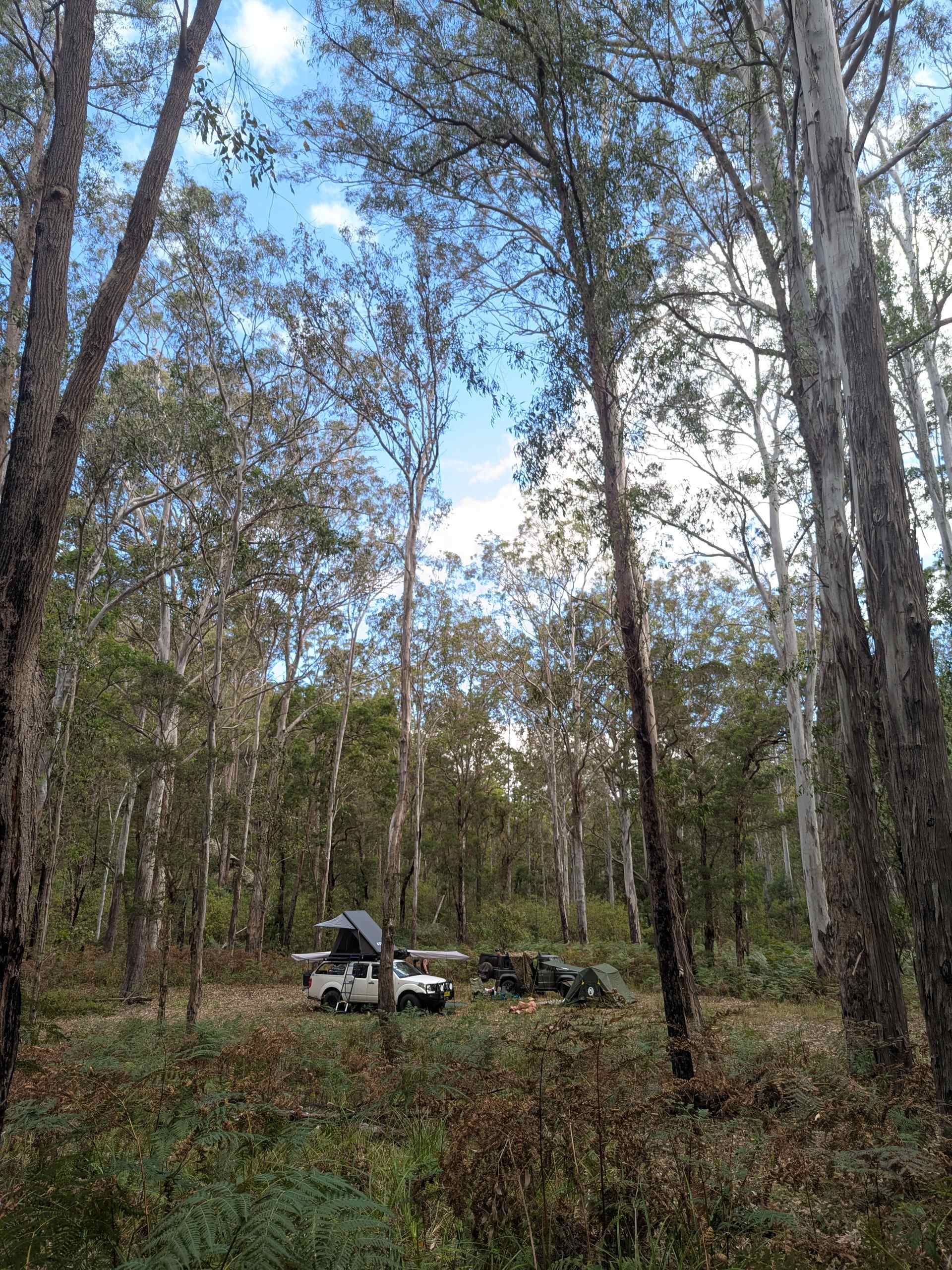 The Upward Place/Boree Bush Bakery