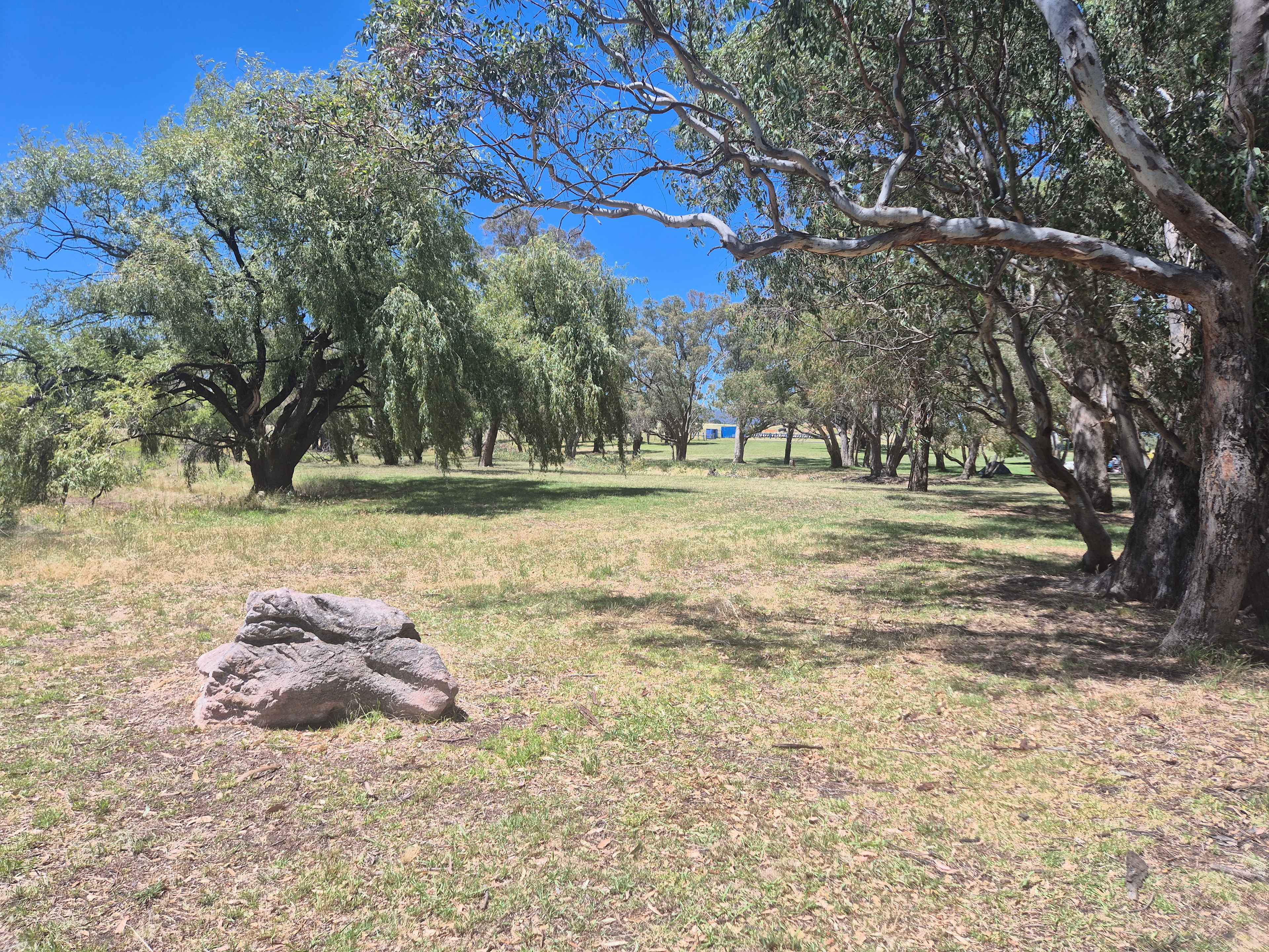 Borenore Billabong Field Days site