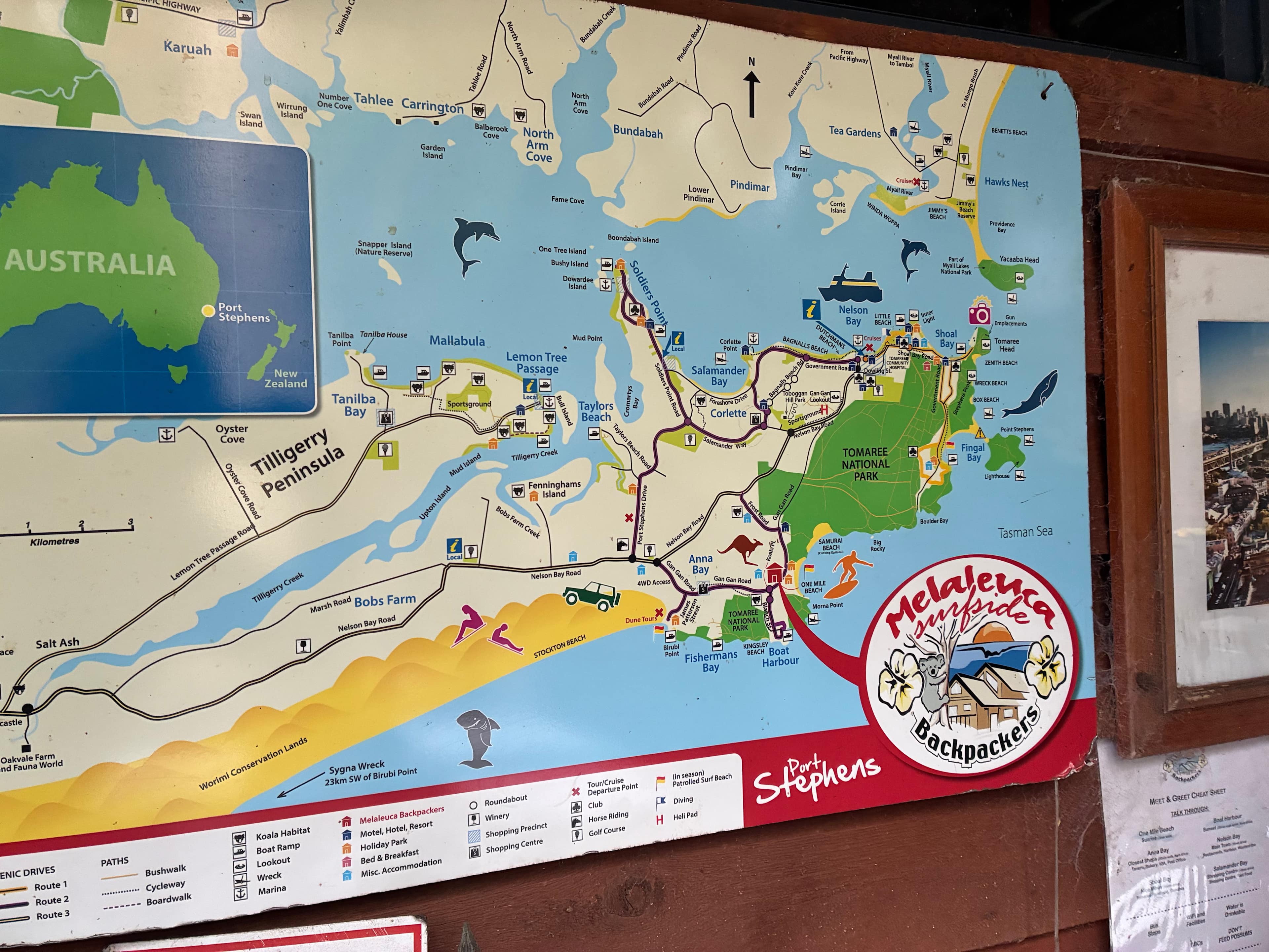 Melaleuca at One Mile