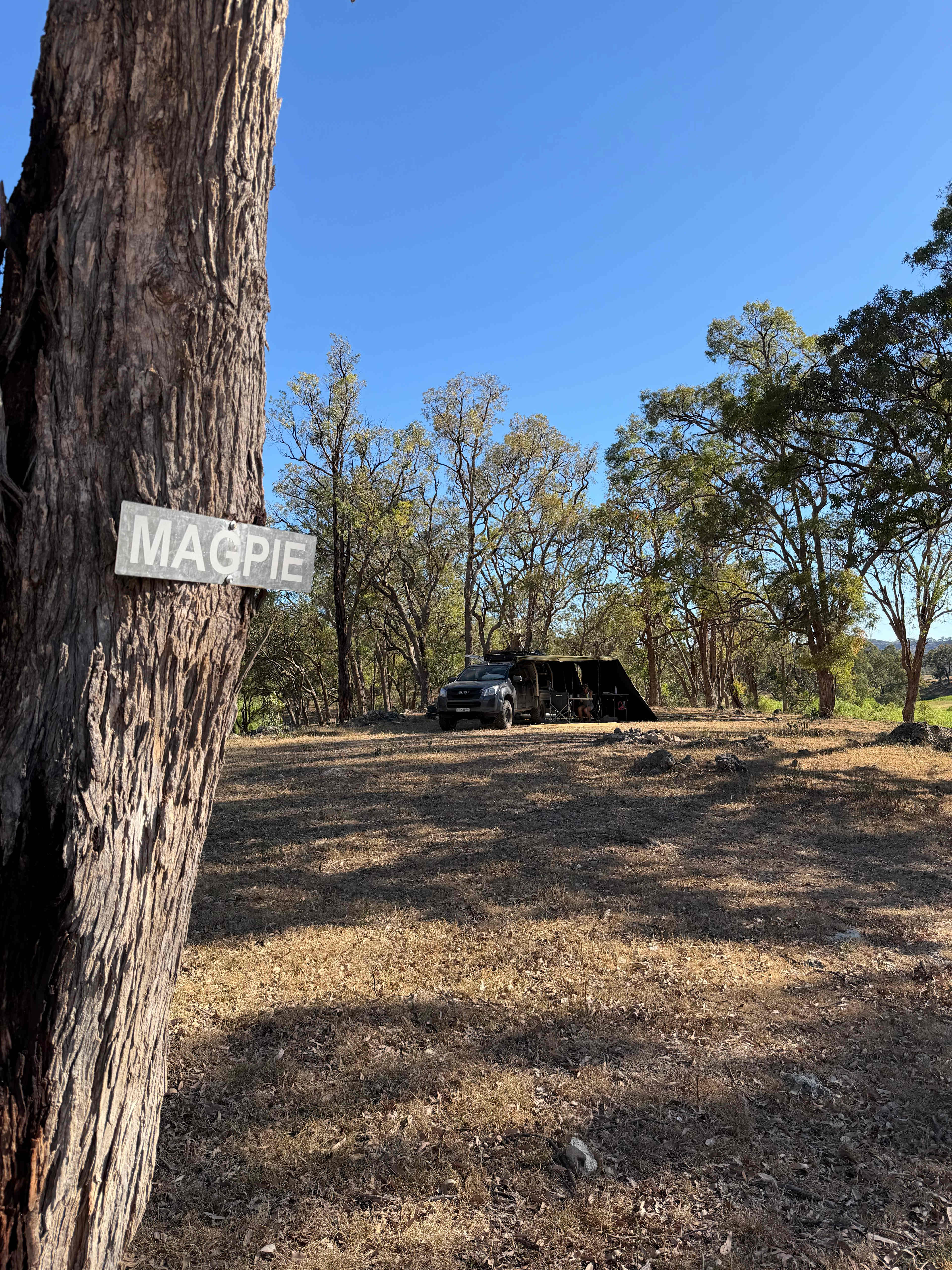 Old Bara aka "Baradise"