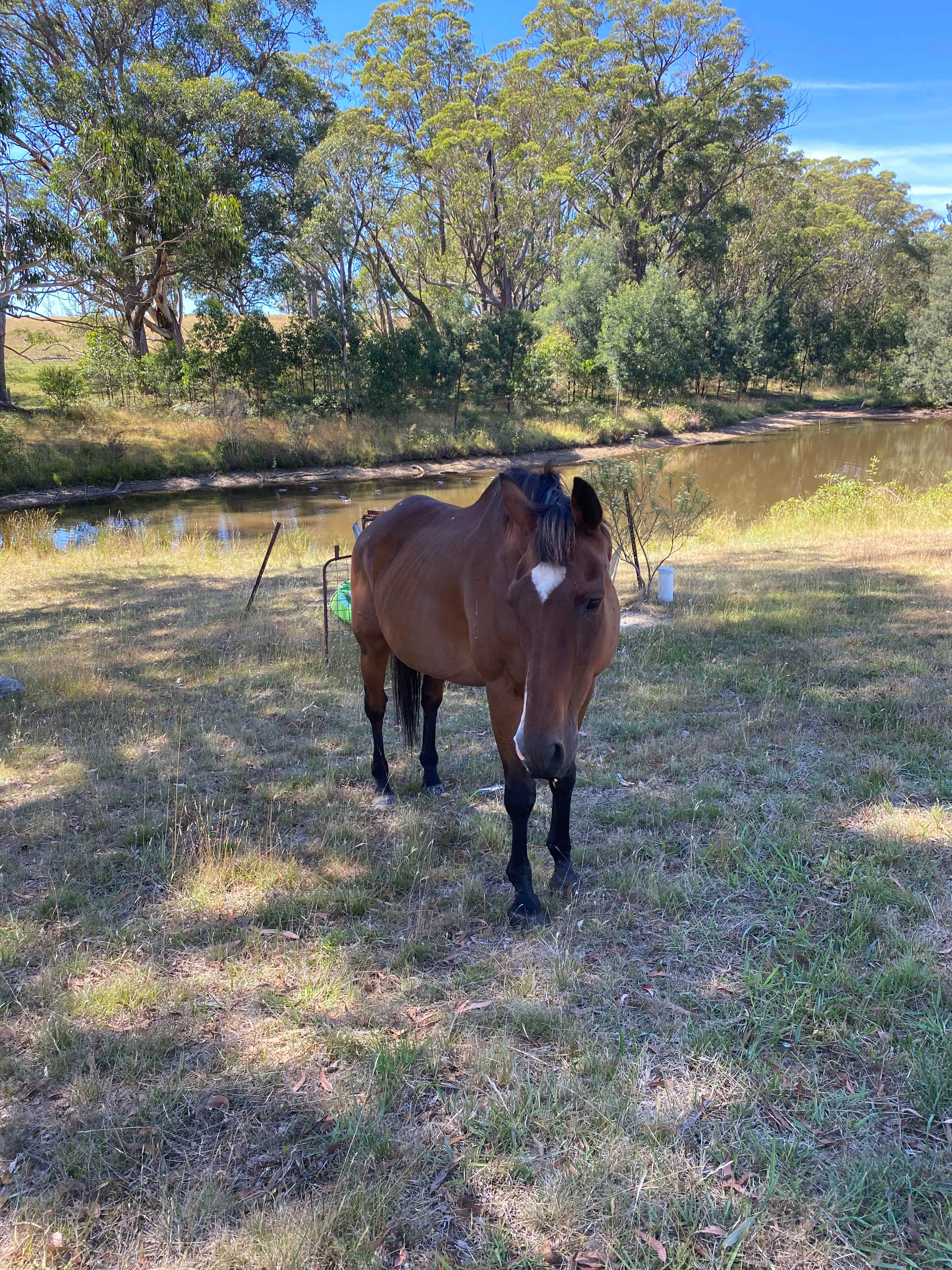 Hidden Brook Southern Highlands NSW