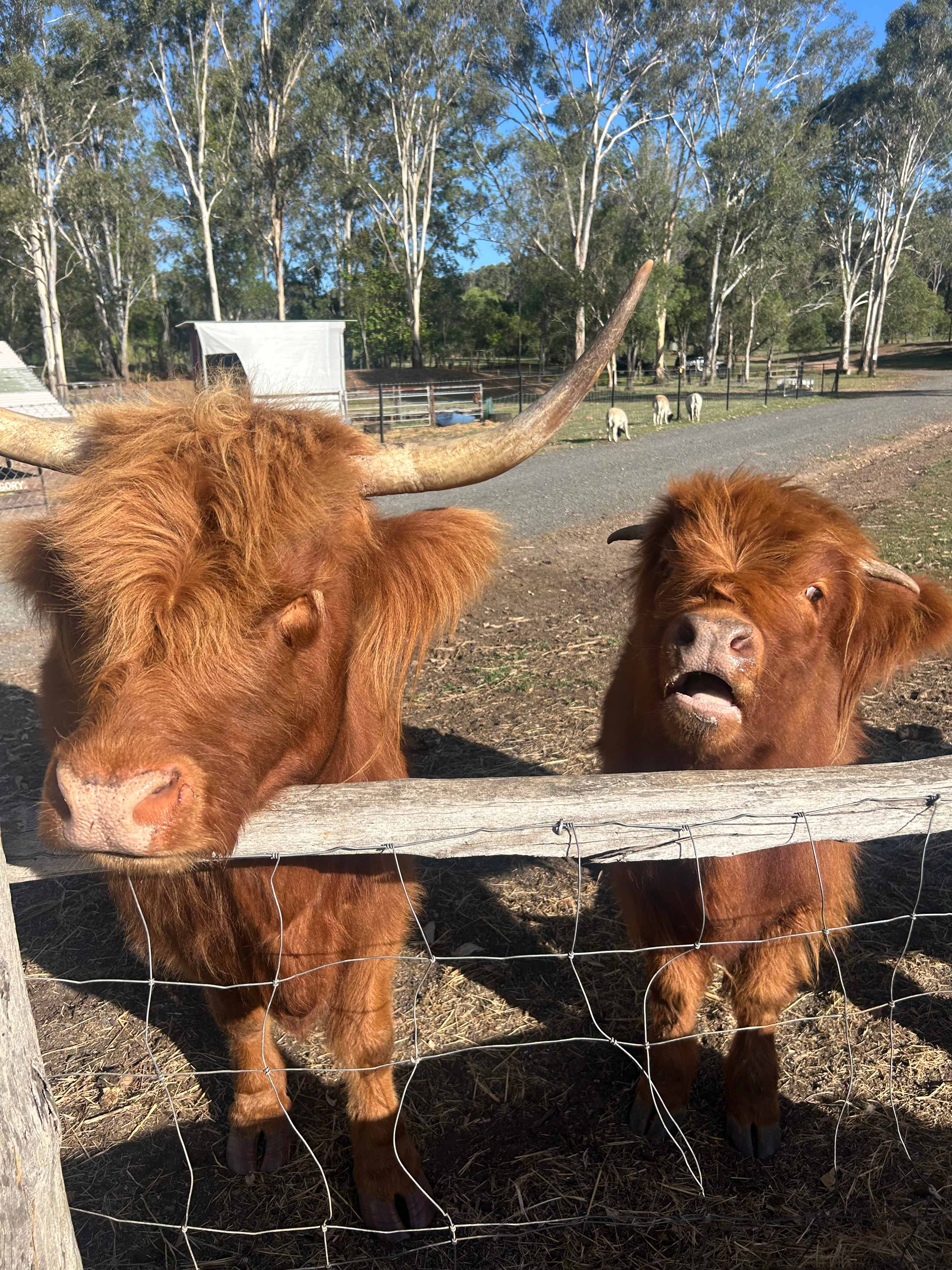 Gumtree Dam Highlands