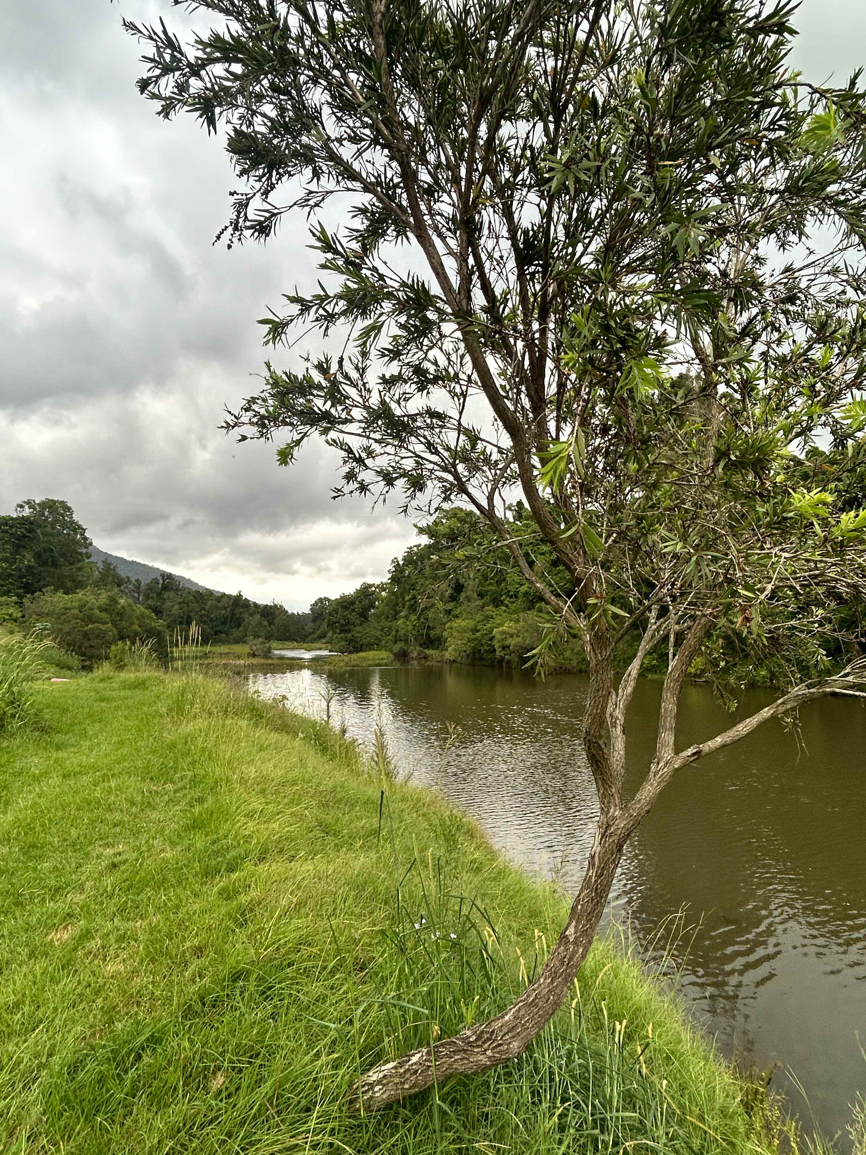 McKenzies Mountain, Wollumbin
