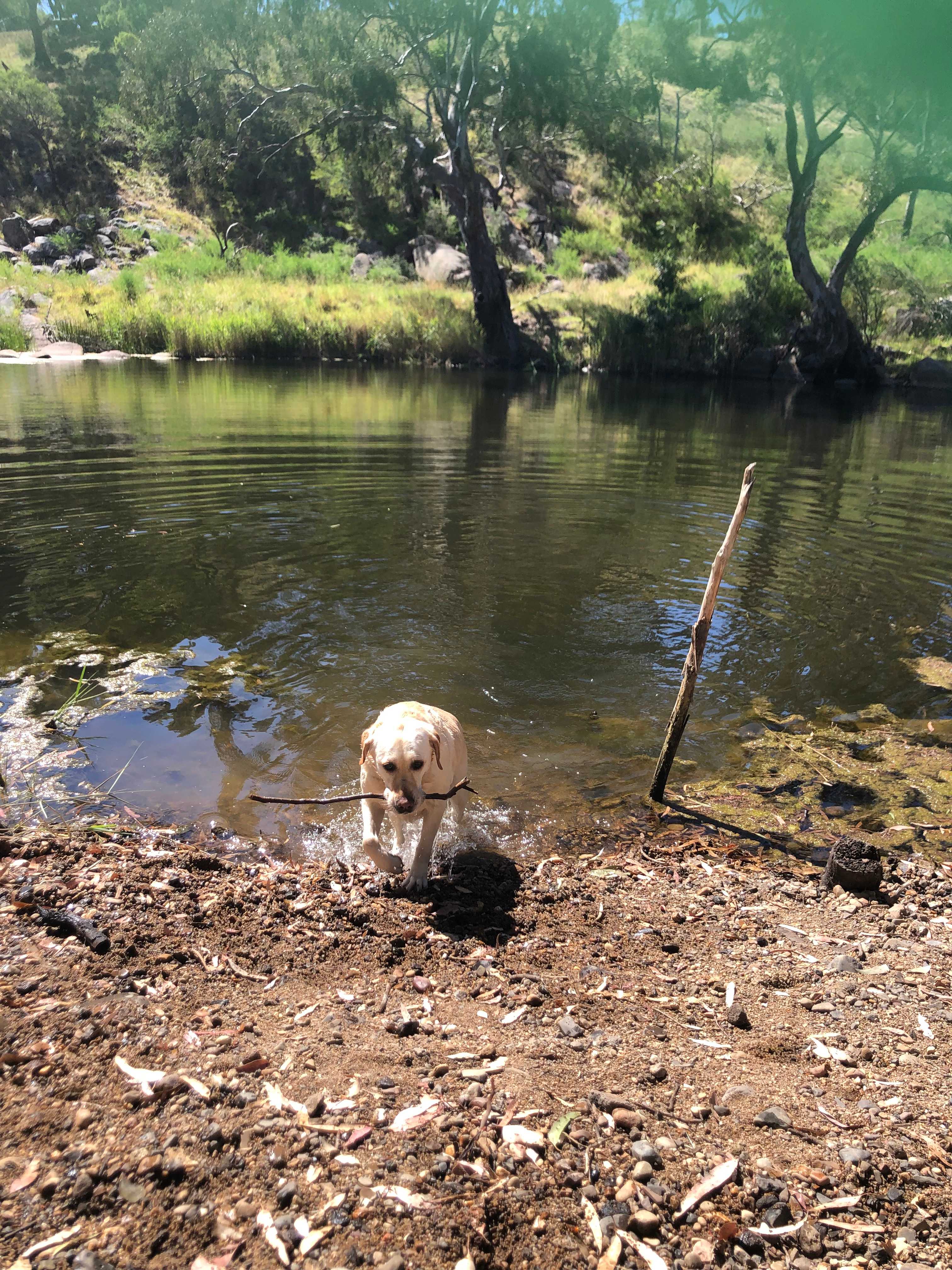 Boulder Brook Valley