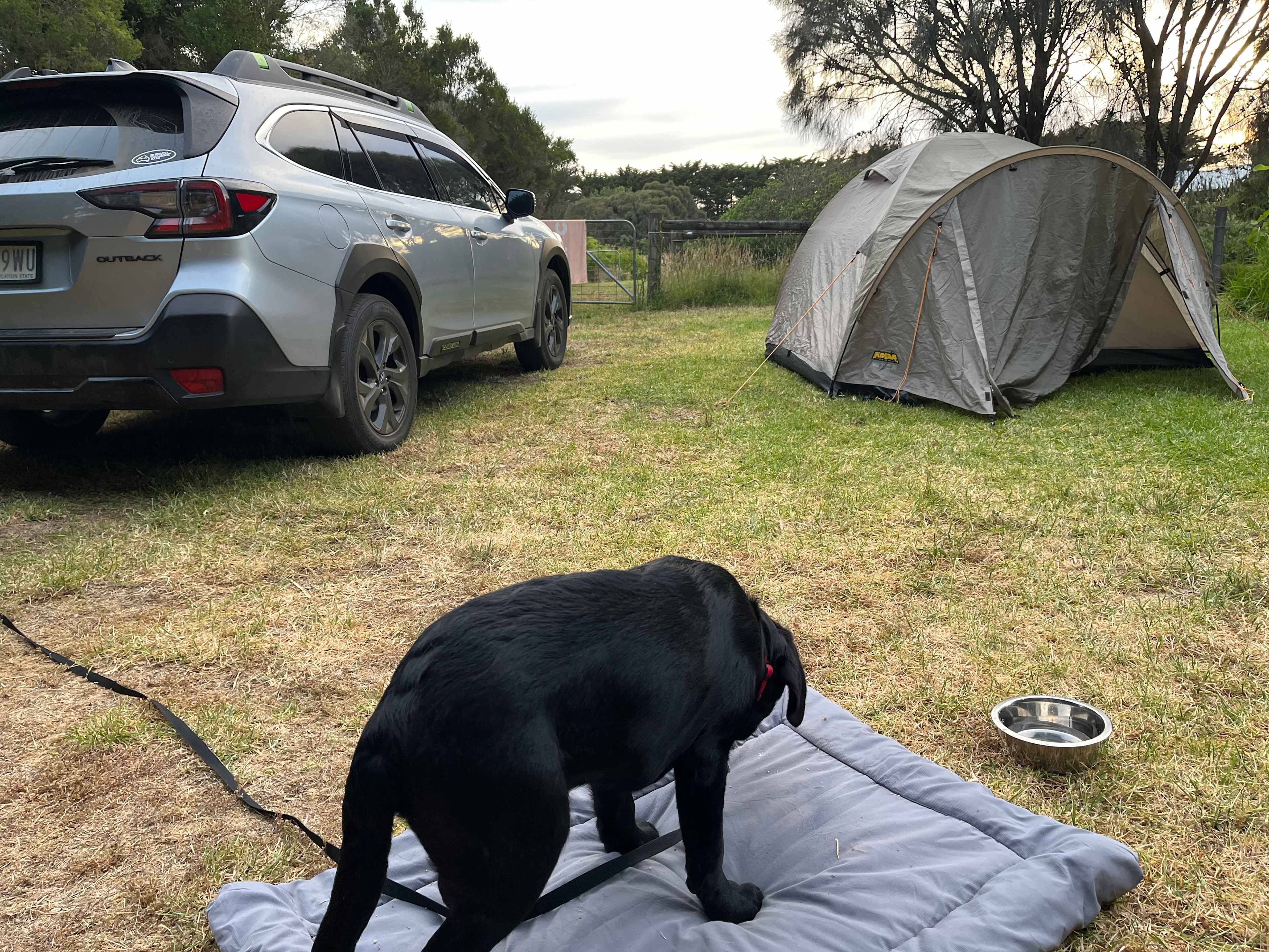 Berry's Beach Farm, Phillip Island