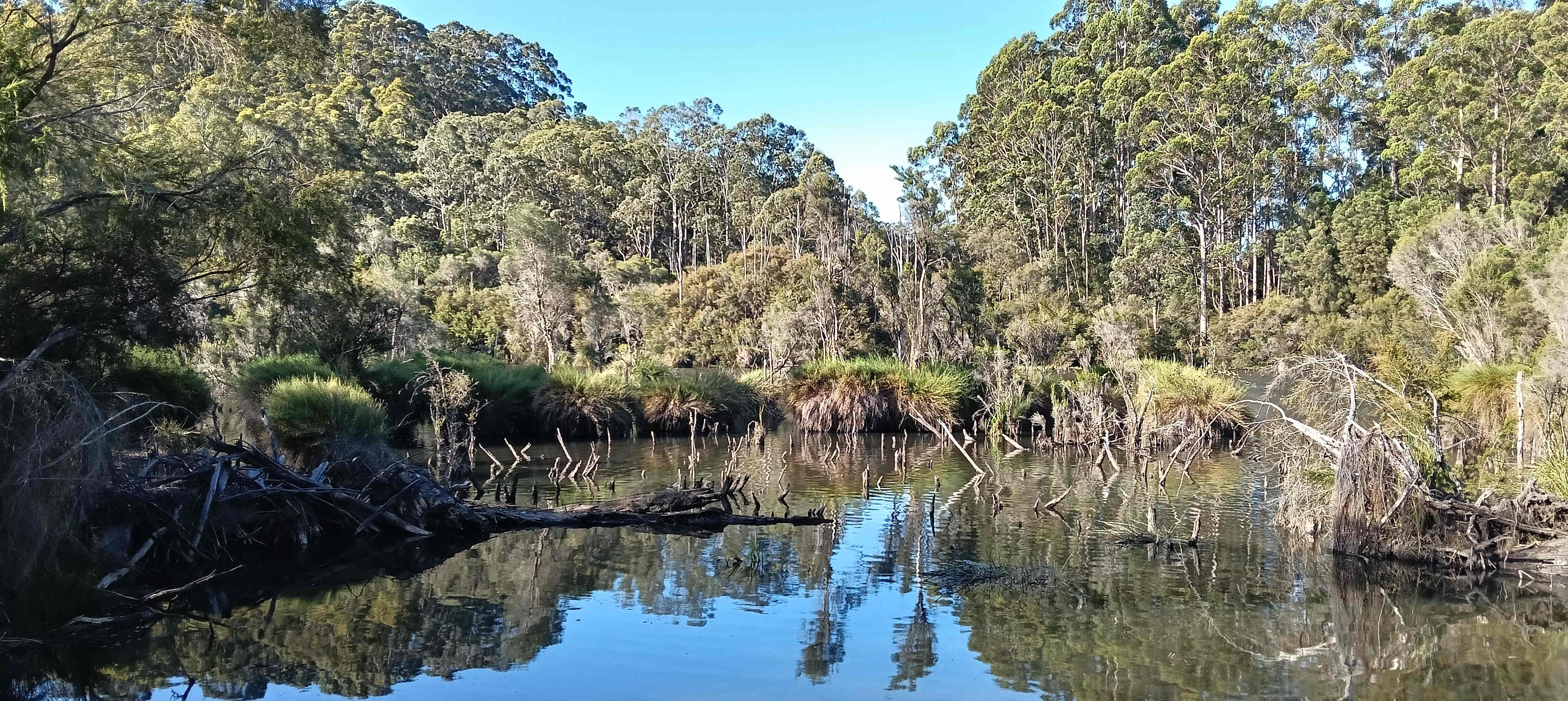 Mountford Wines & Cider Pemberton