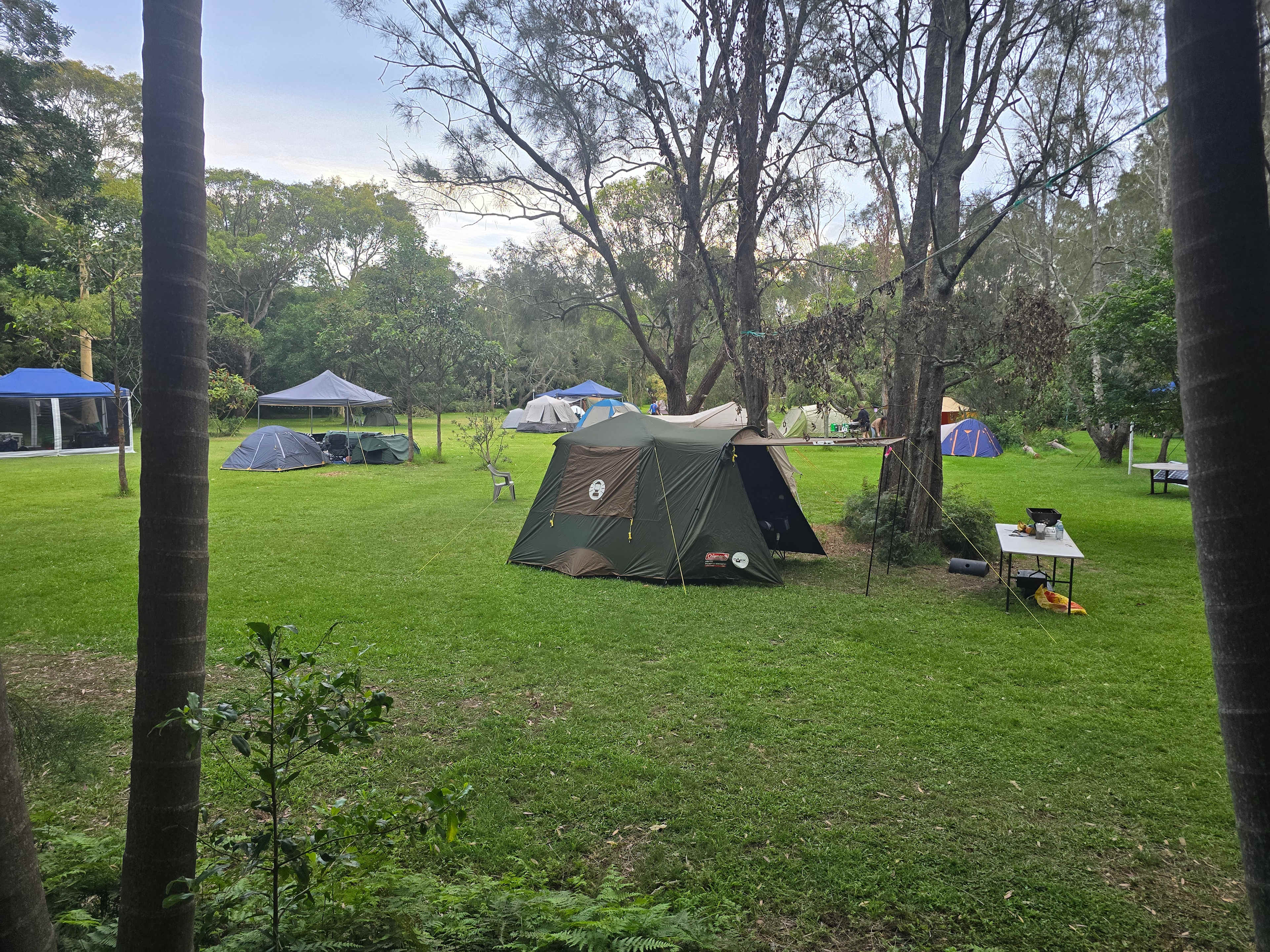 Melaleuca at One Mile