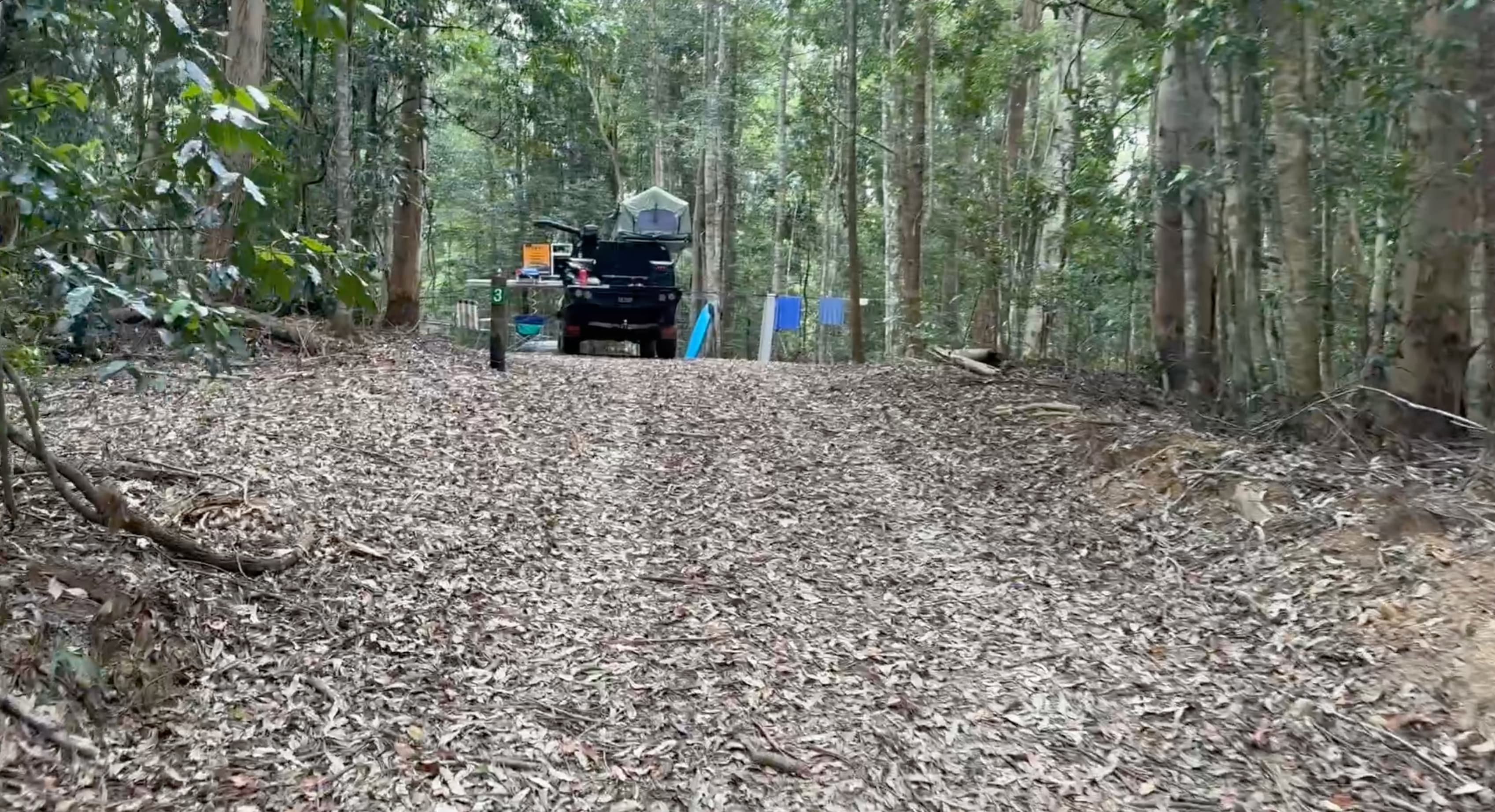 Frog Hollow Rainforest Camping