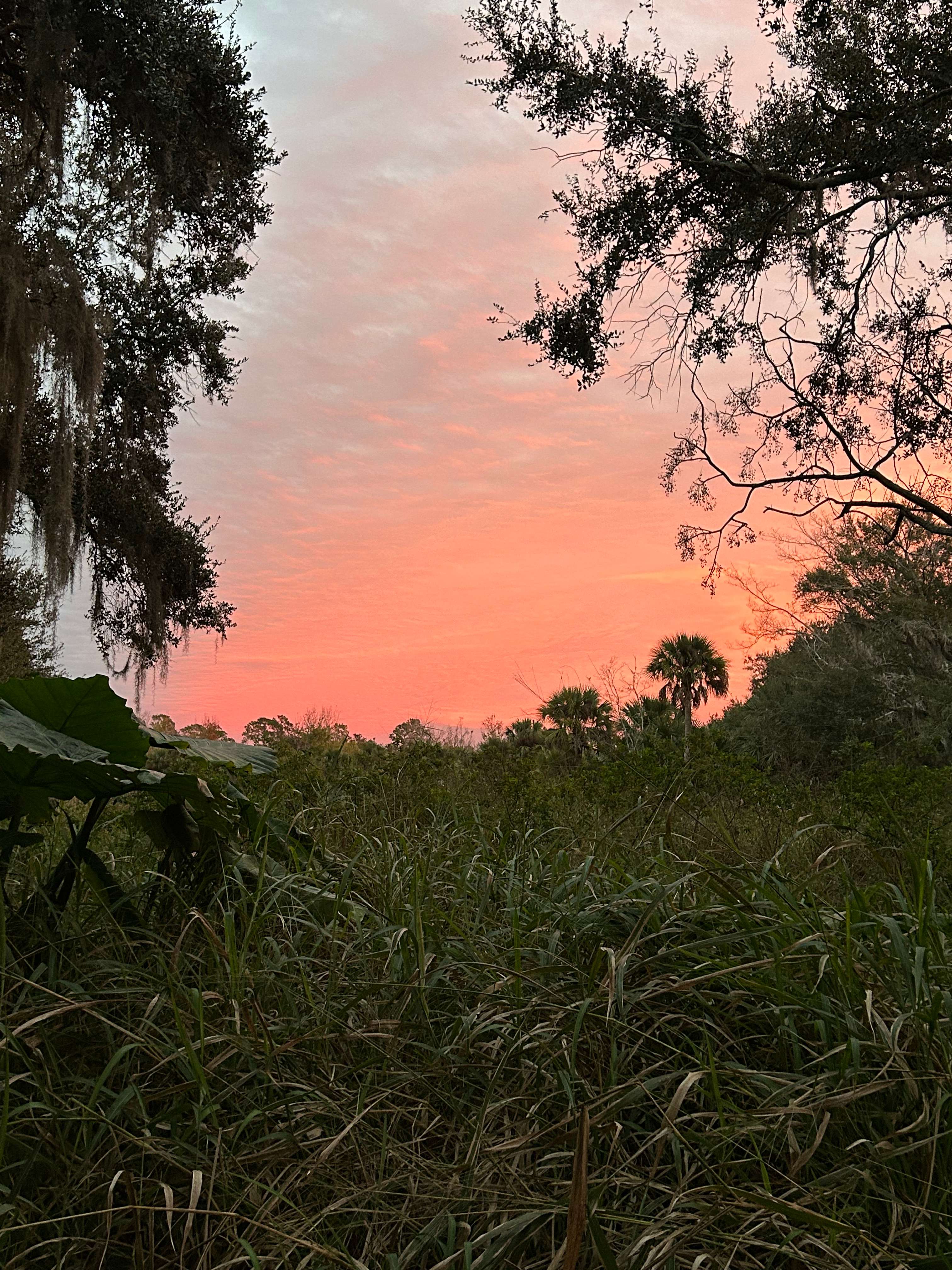 North Shore Relic Ranch