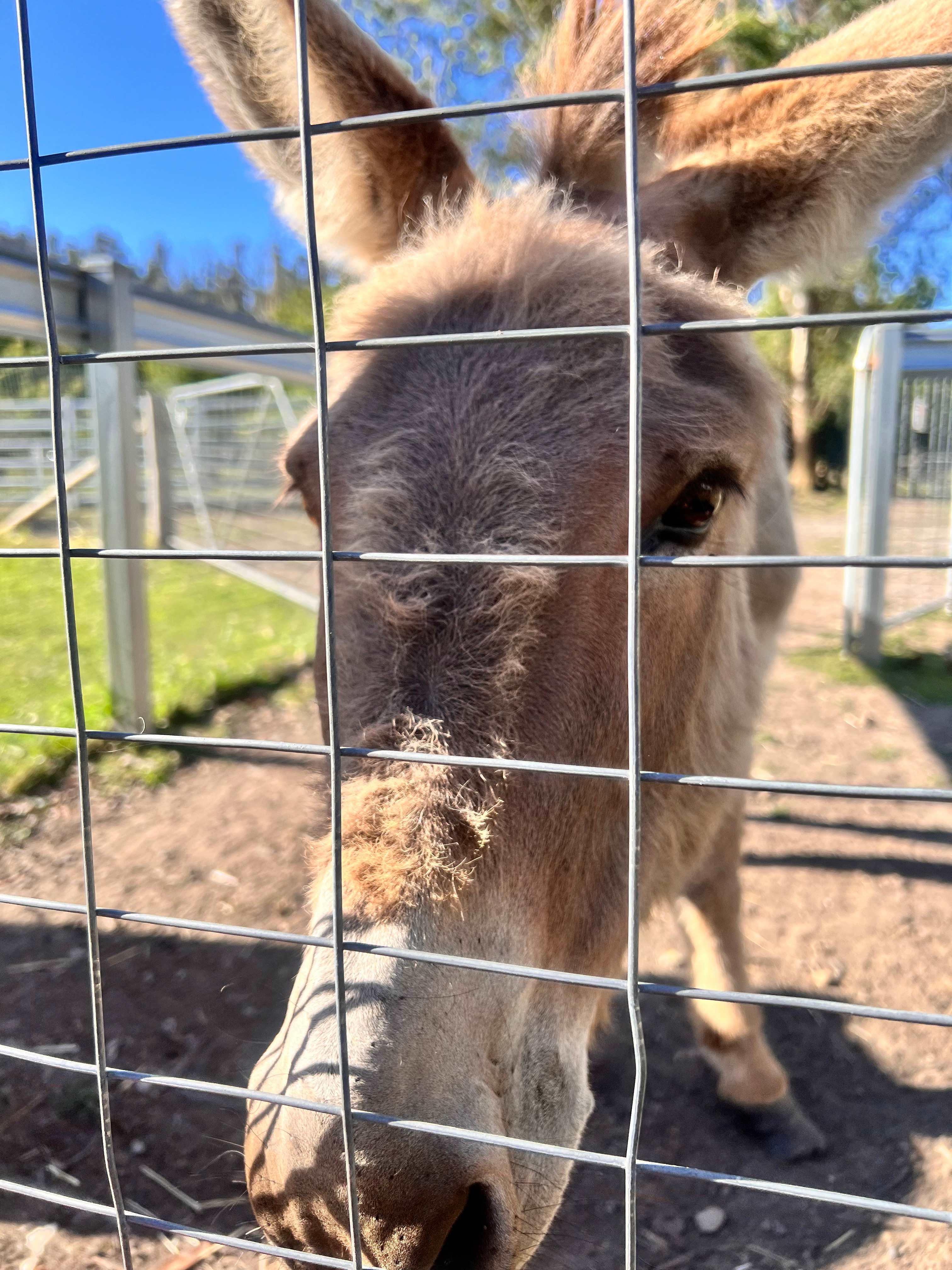 Kanukadale Forest River Retreat