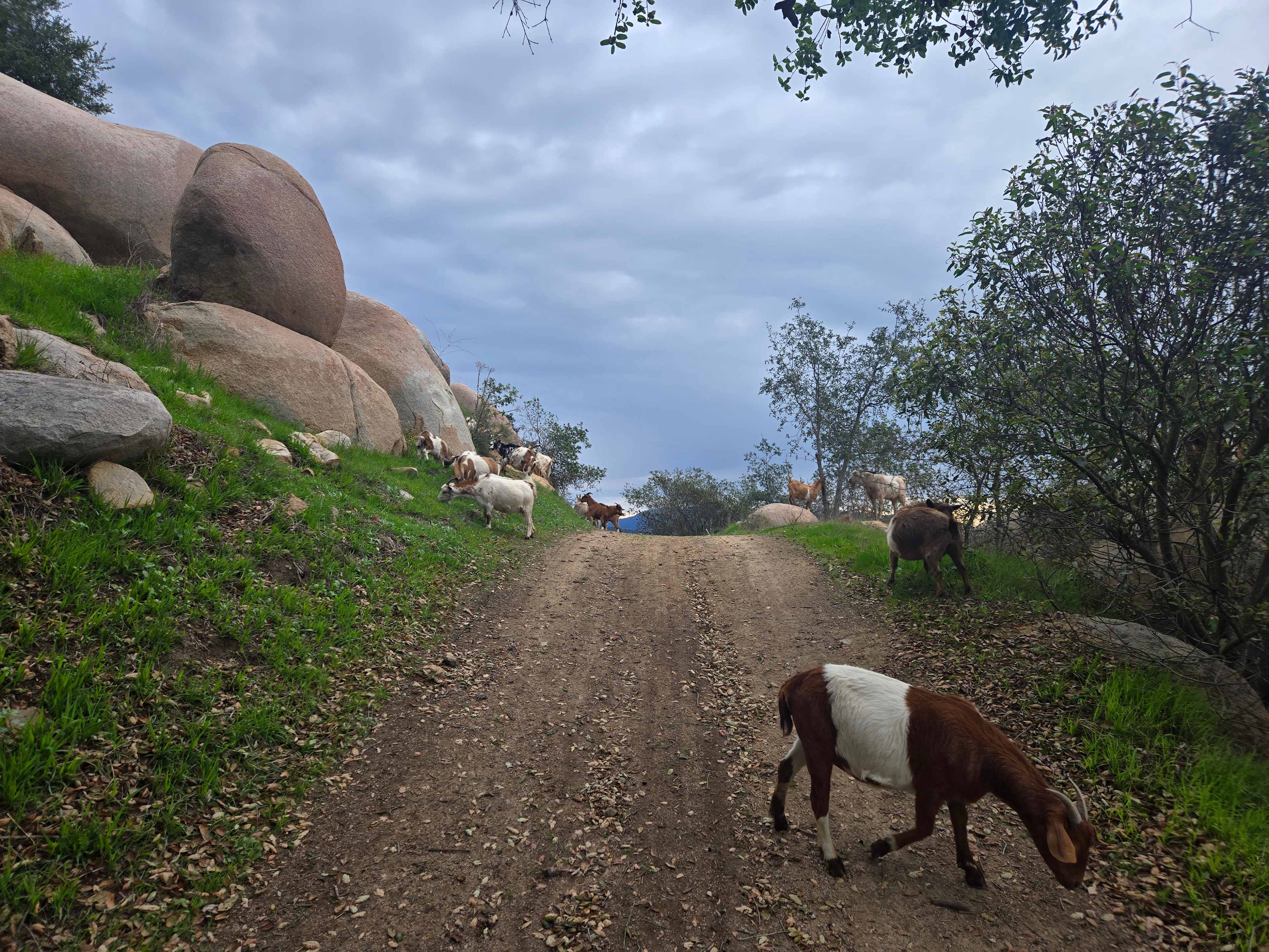 Splitrock Farm and Retreat