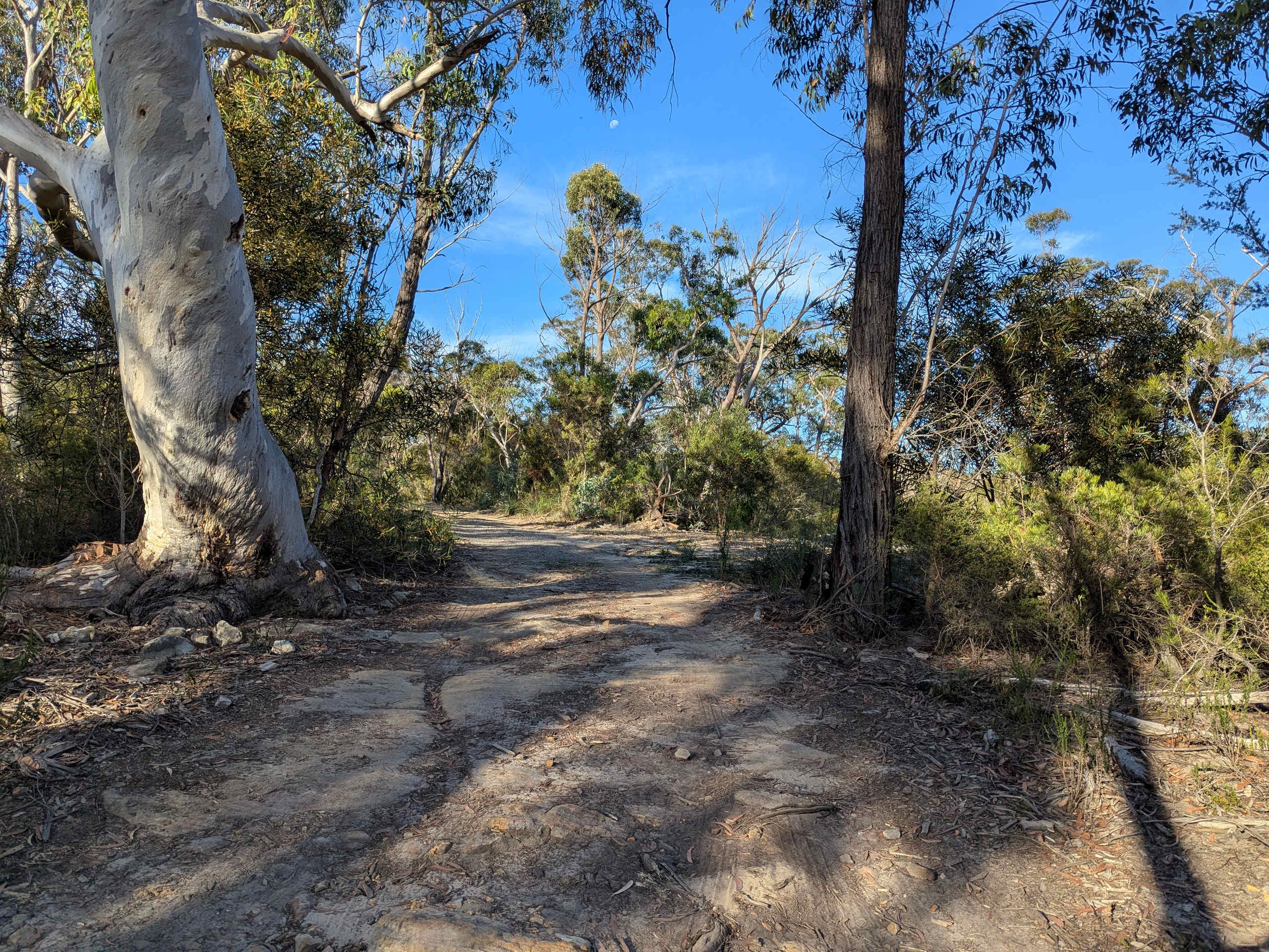 Joadja Gorge Retreat & Camping