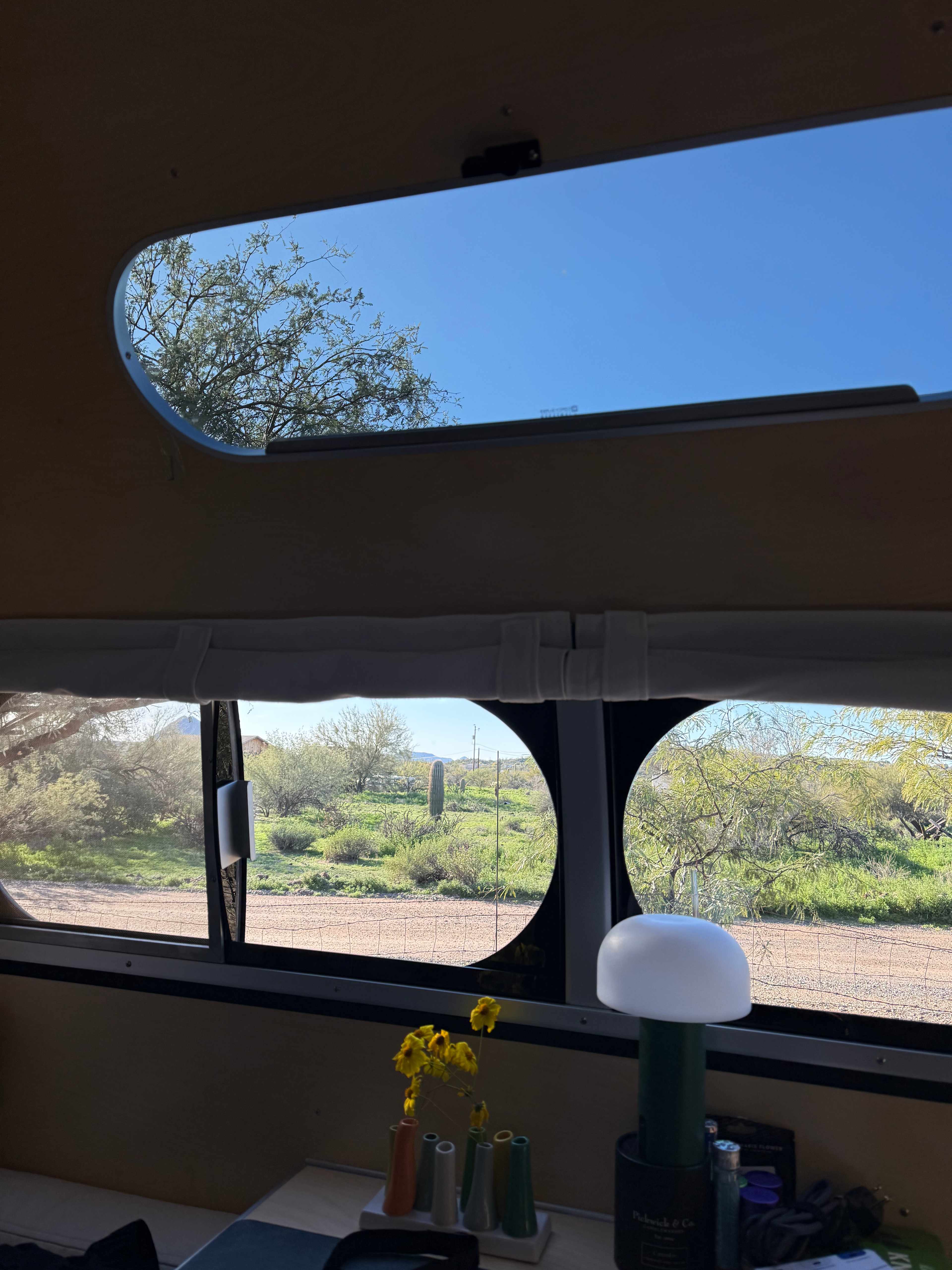 Saguaro Forrest @ Dragonfly Ranch