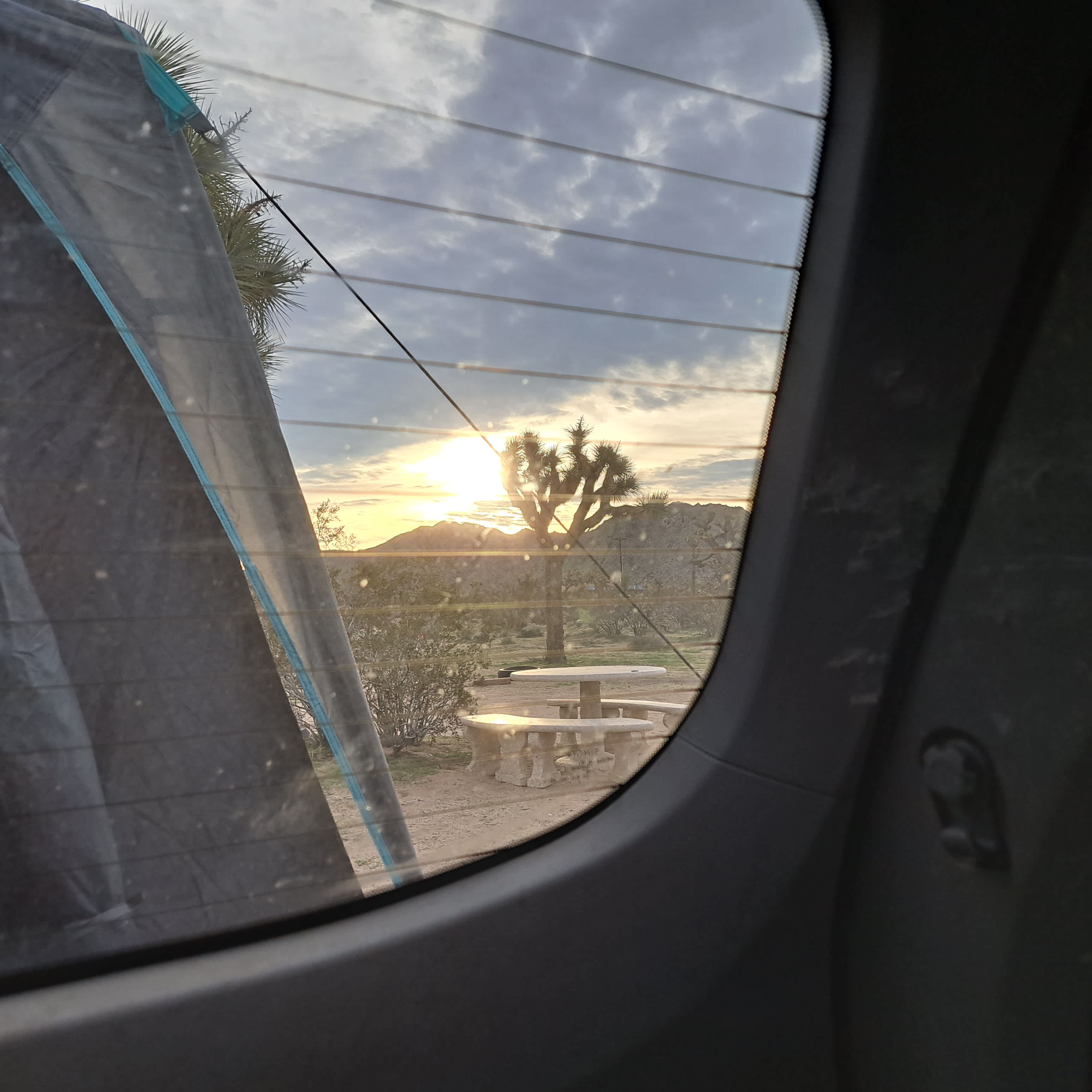 Caribbean Mojave Escape