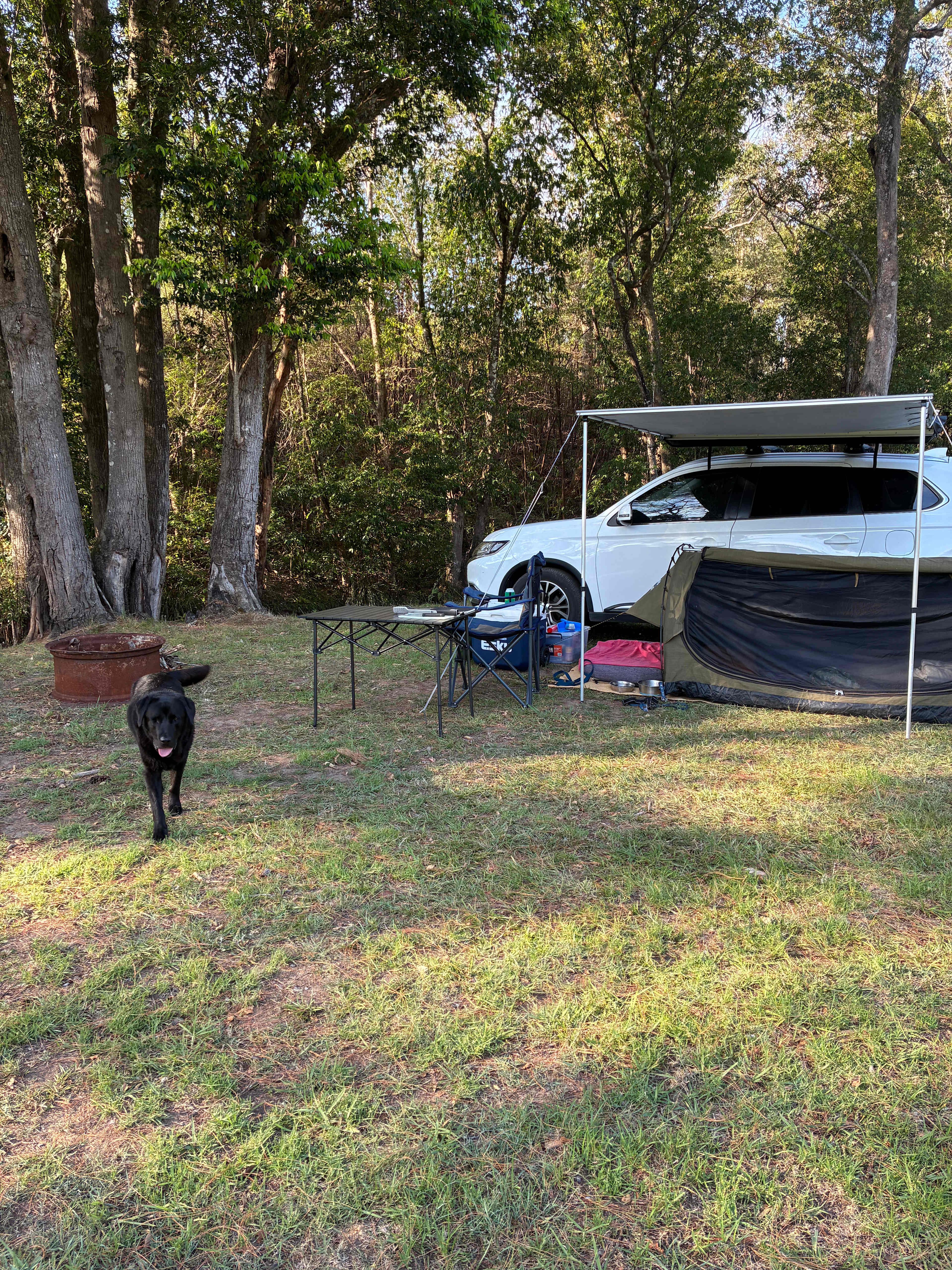 Critterland - Cabin & Camping