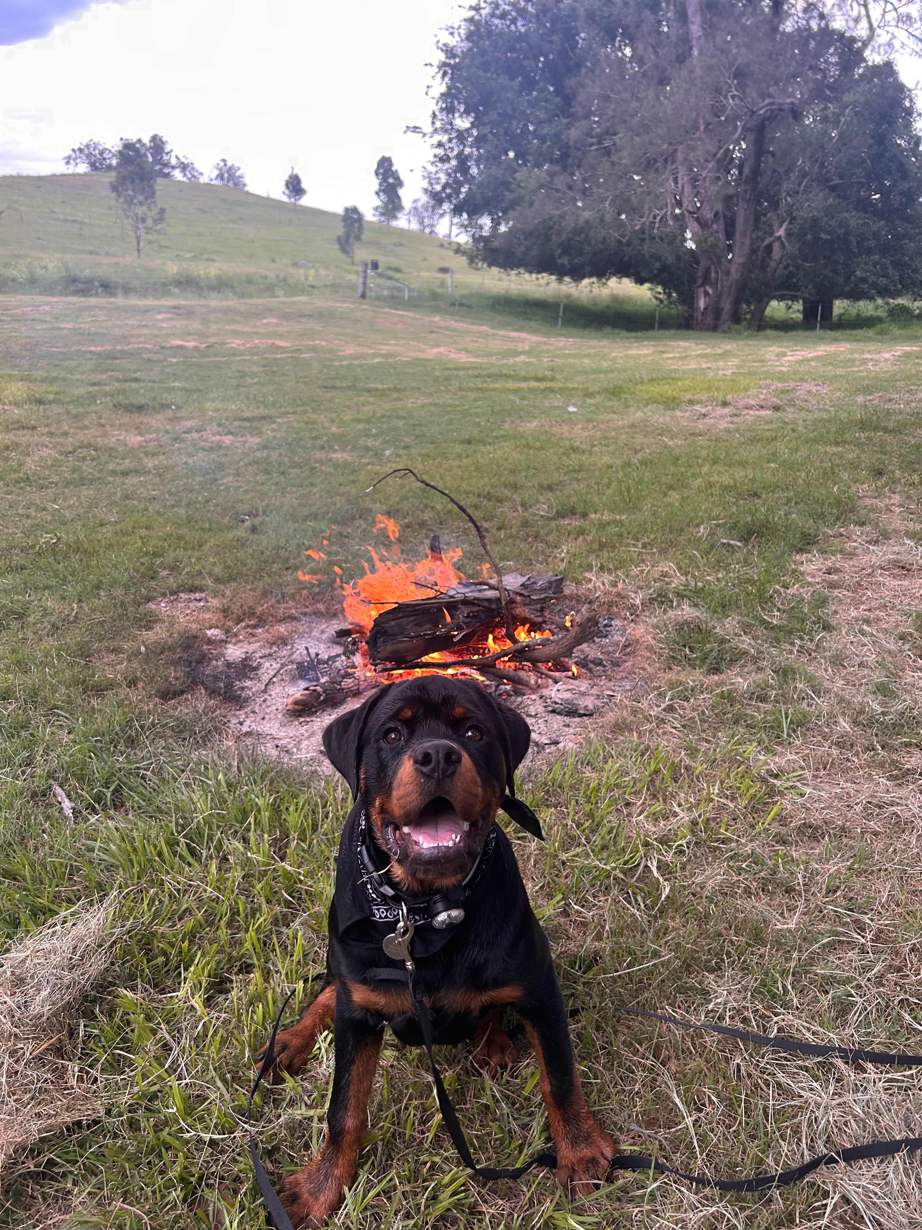 Juburra Country Camping