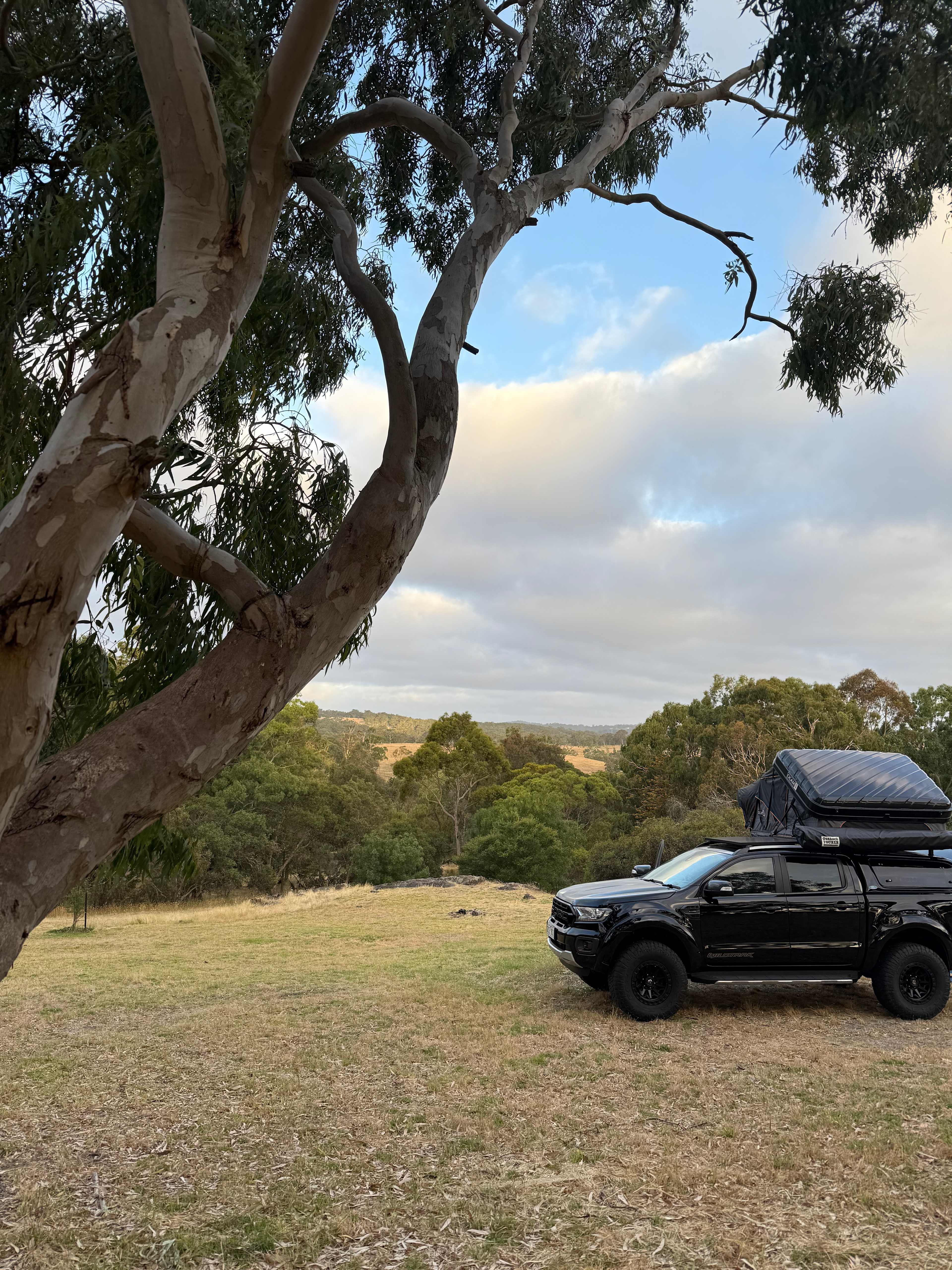 Willow Glen Alpaca Farm