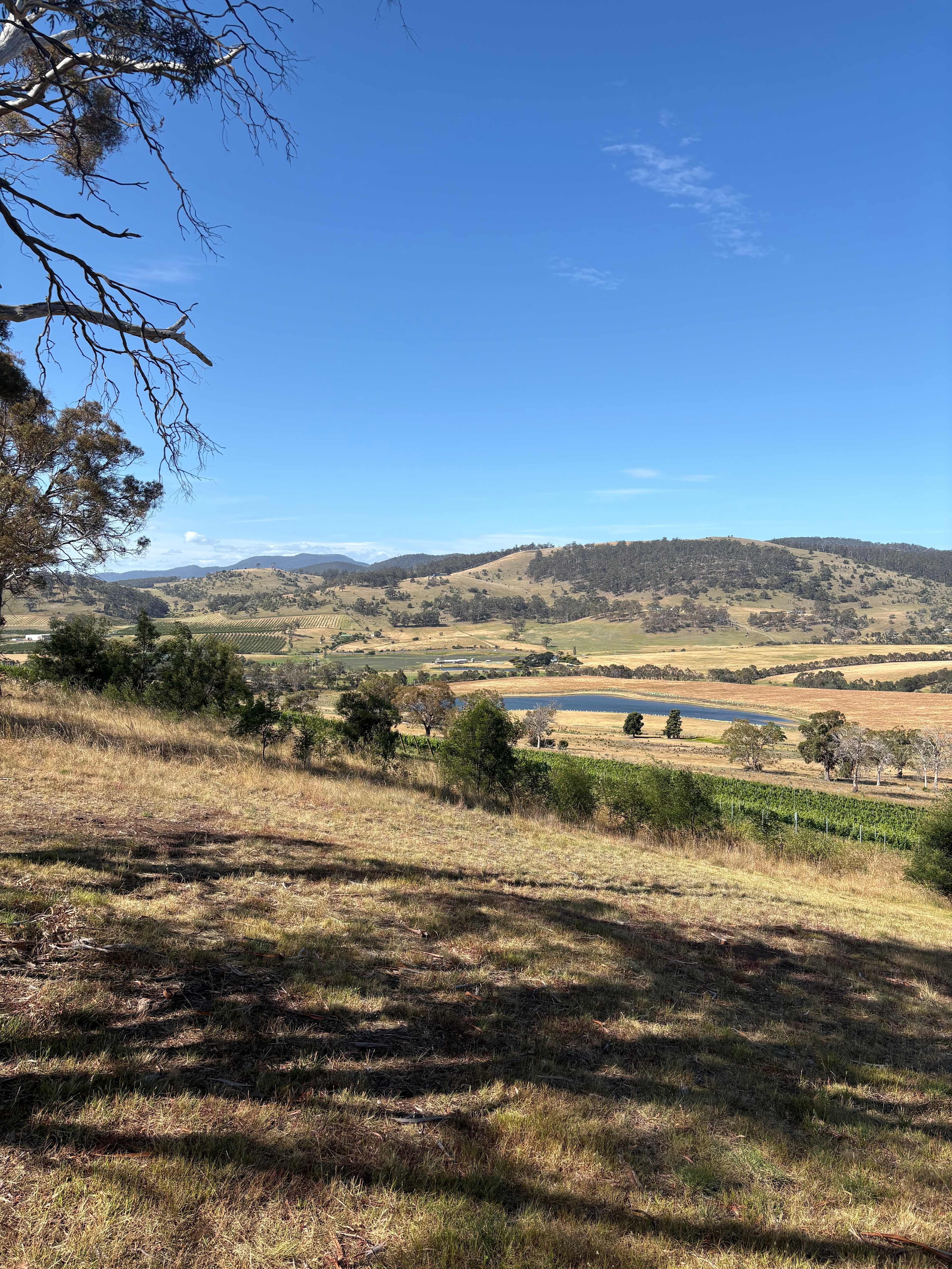 Prossers Ridge Richmond