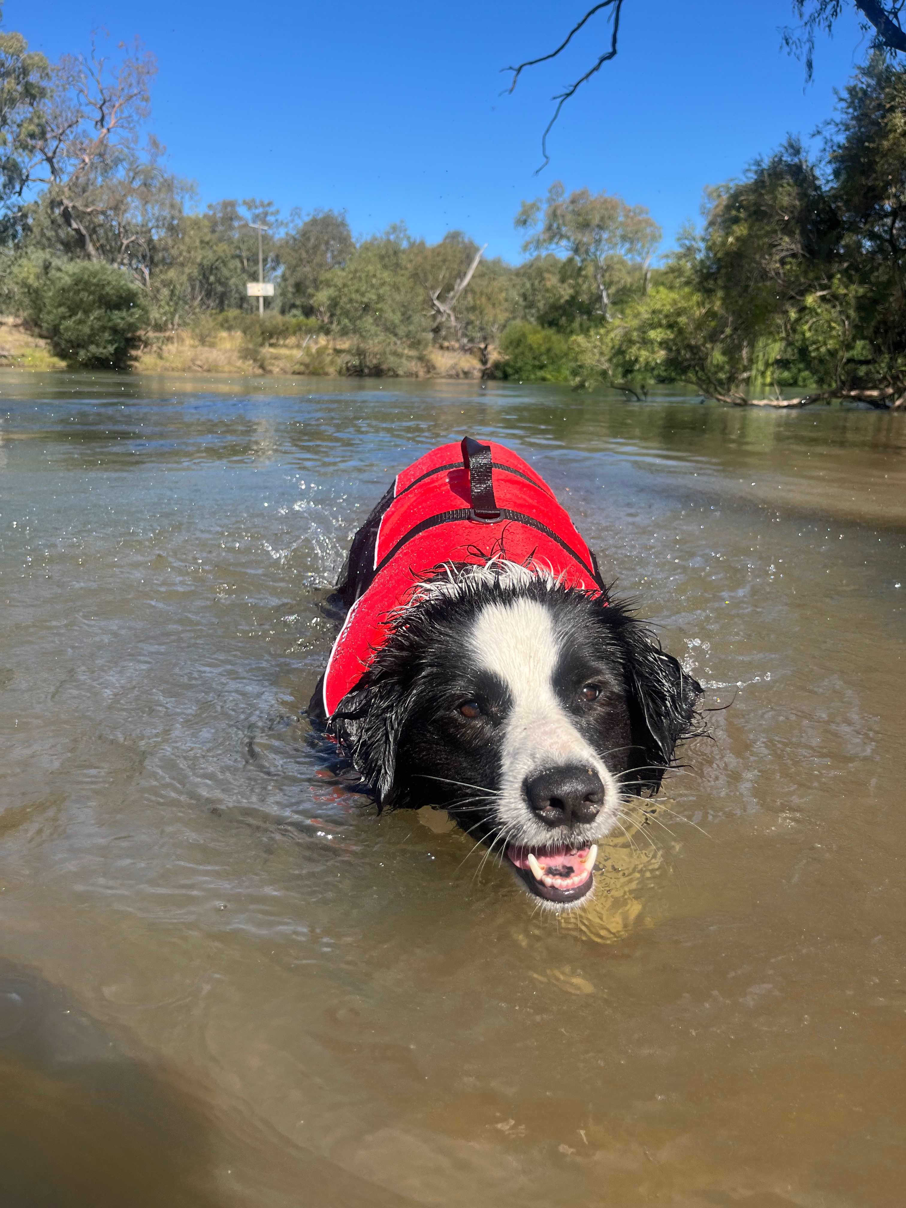 Willowbank on the Murray