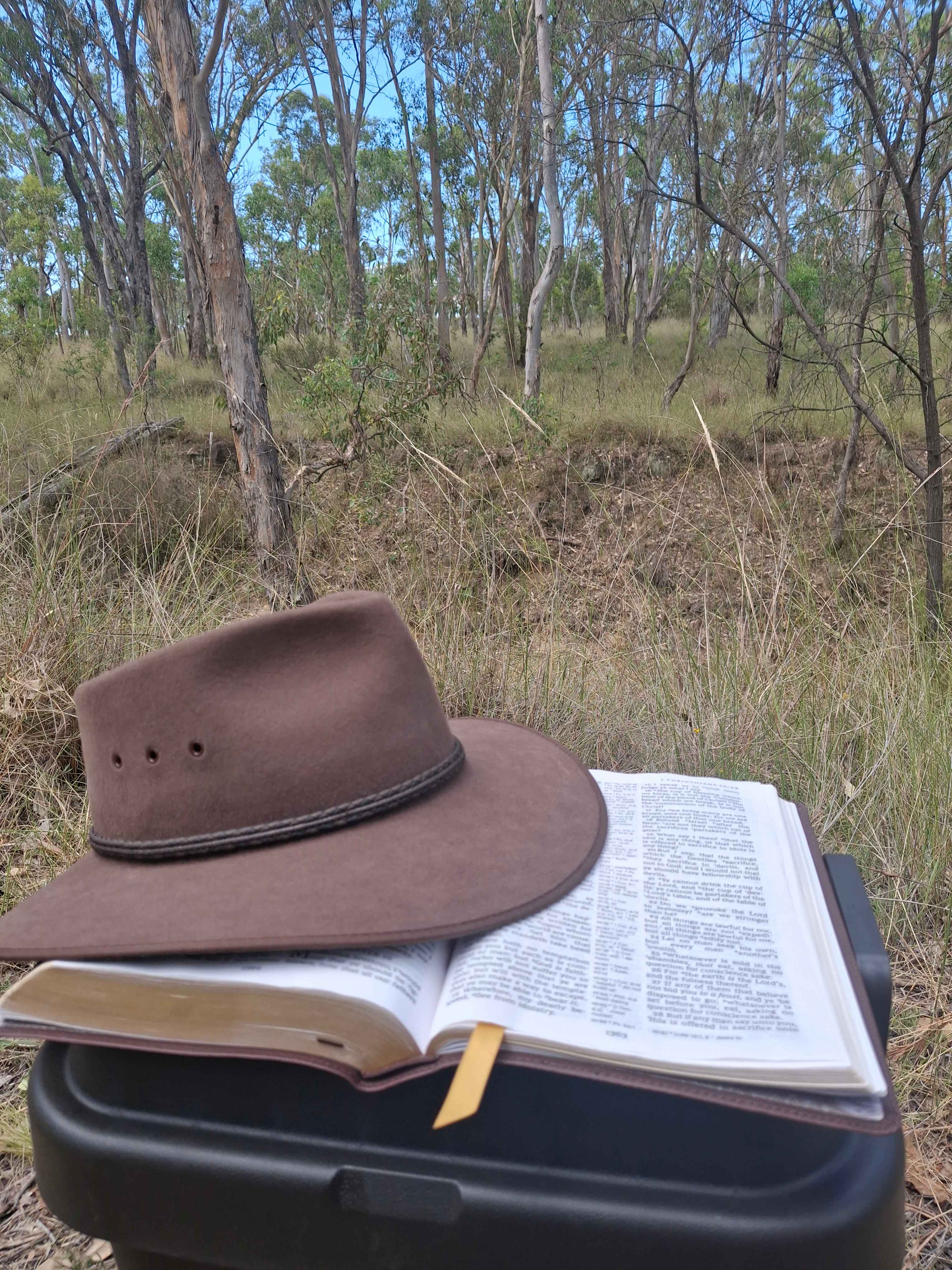 Beautiful peacefully place