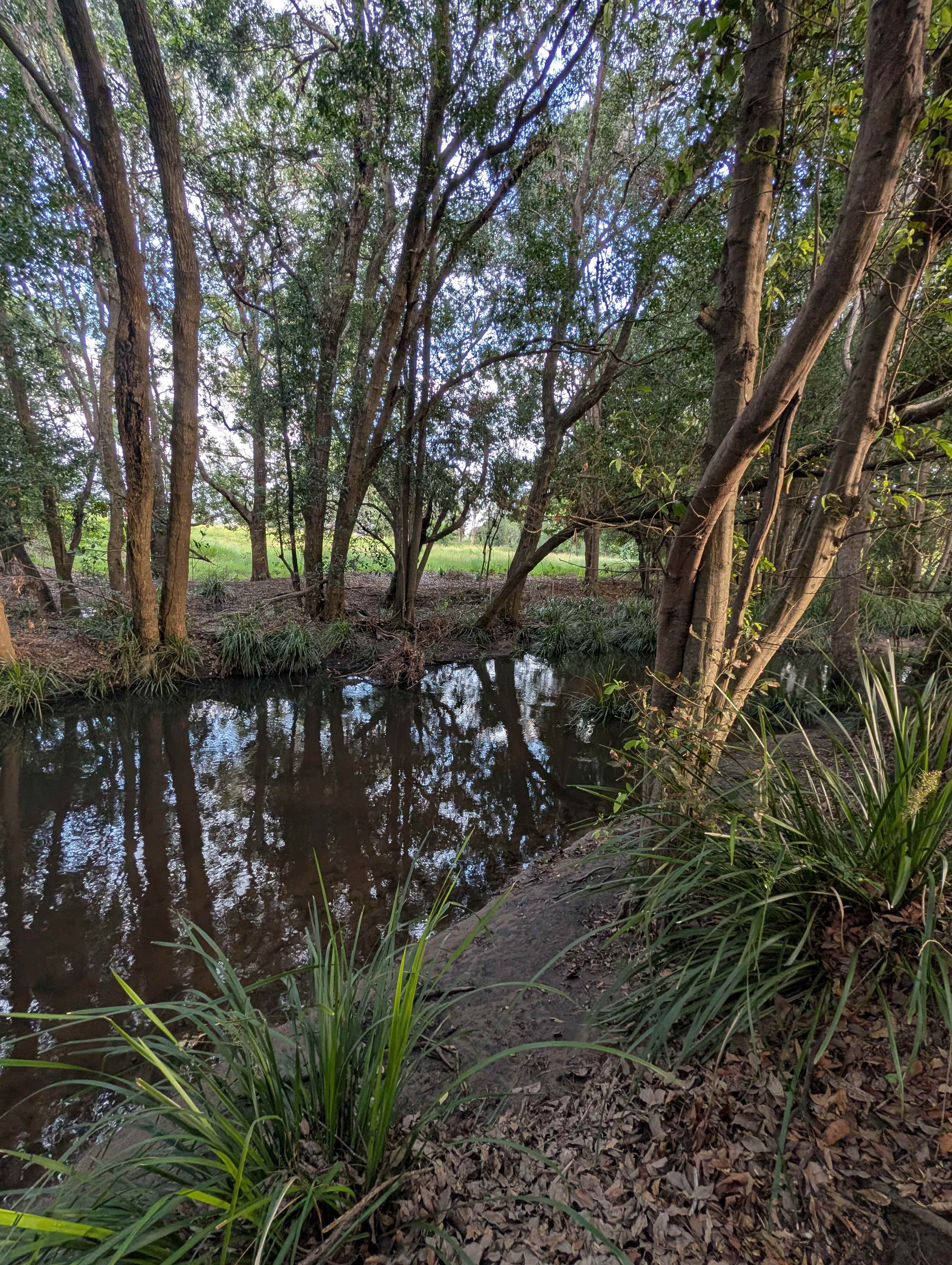 Mothar Mountain Farm
