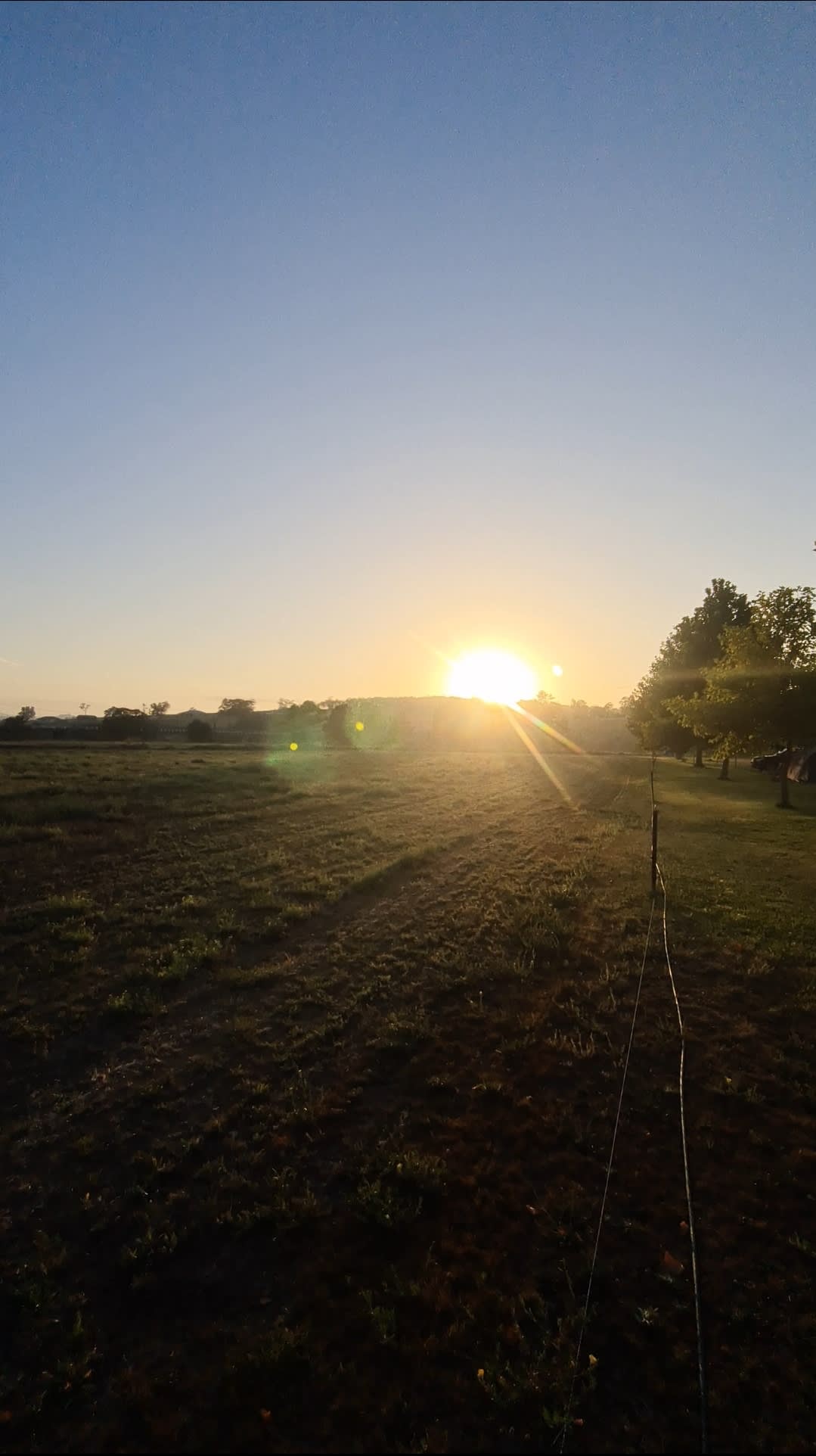 Camp on Hunter (Elderslie)