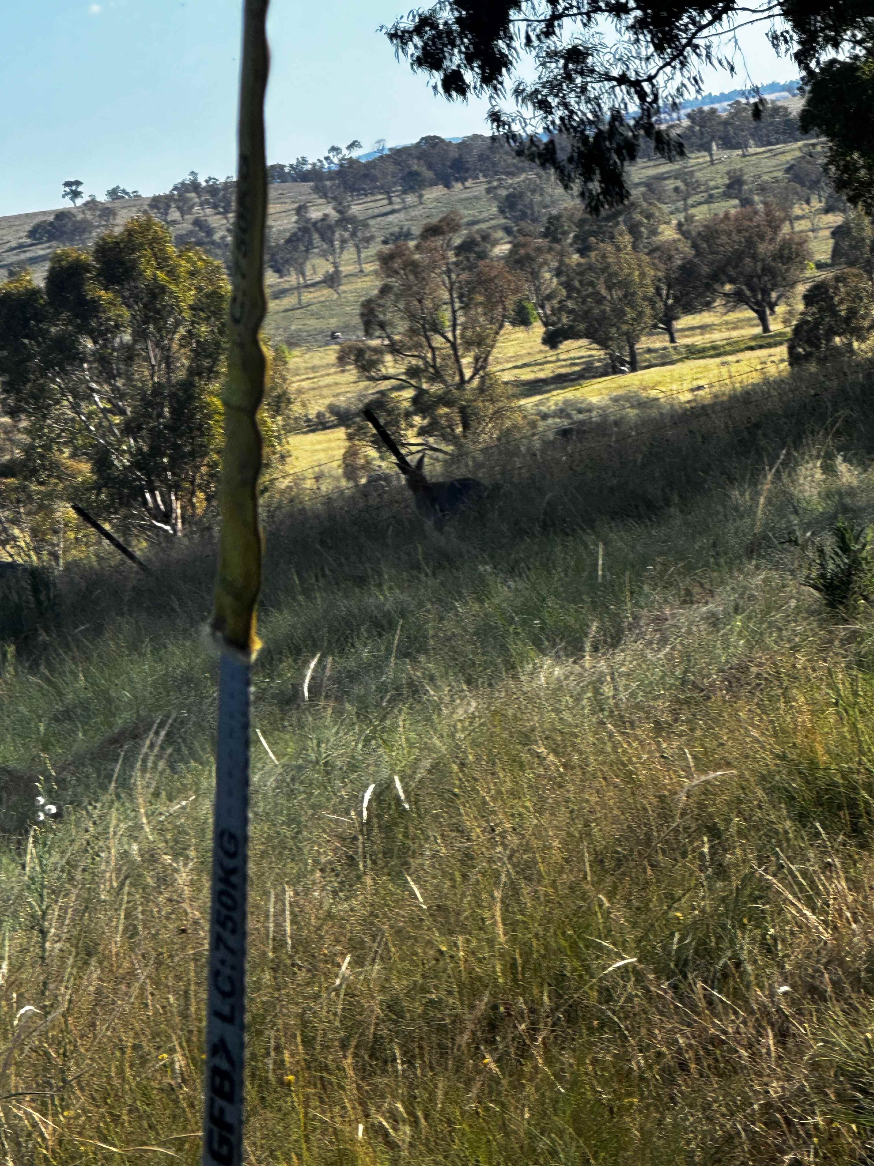 Kookaburra Camping & Caravan Park