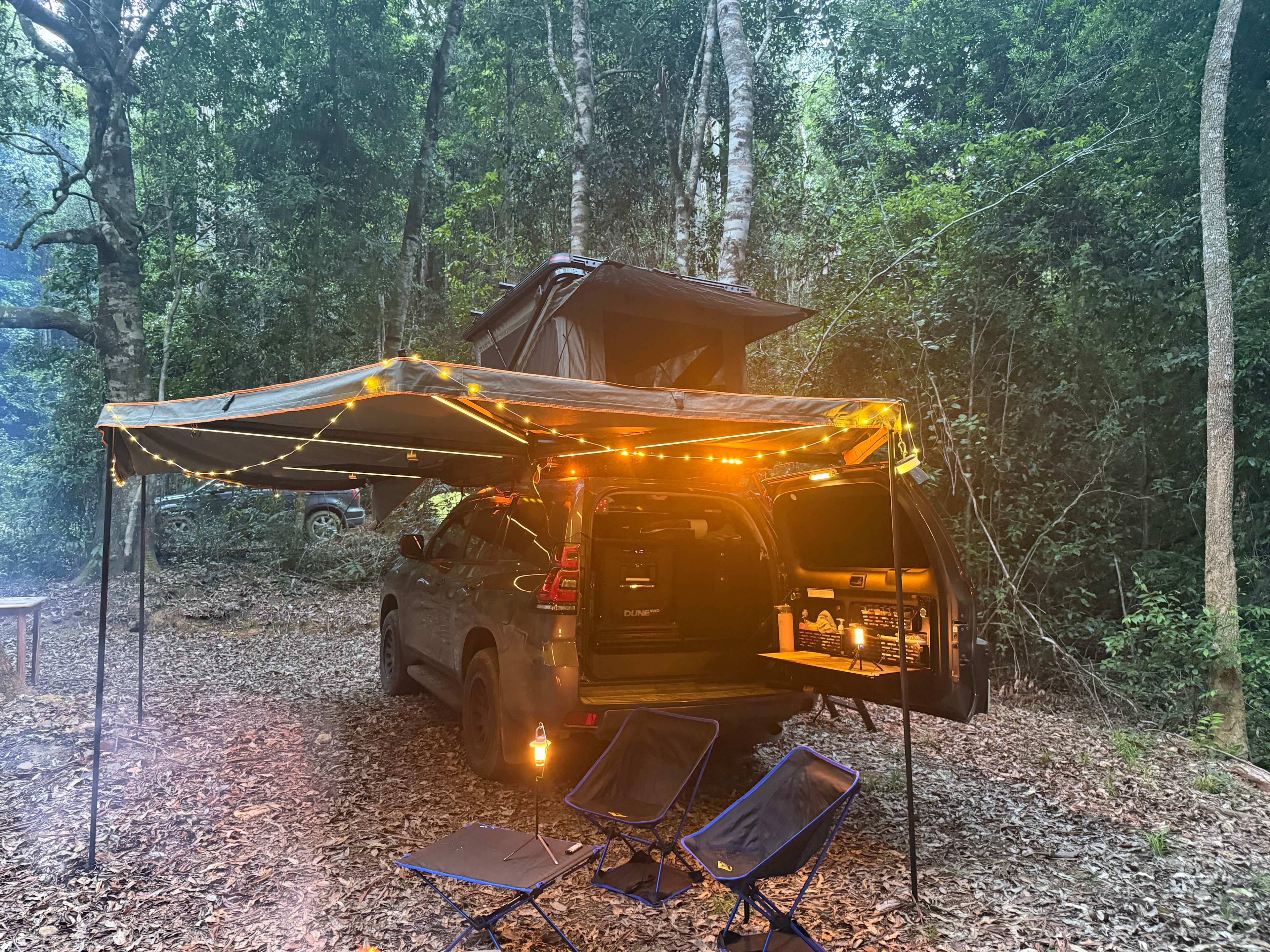 Frog Hollow Rainforest Camping
