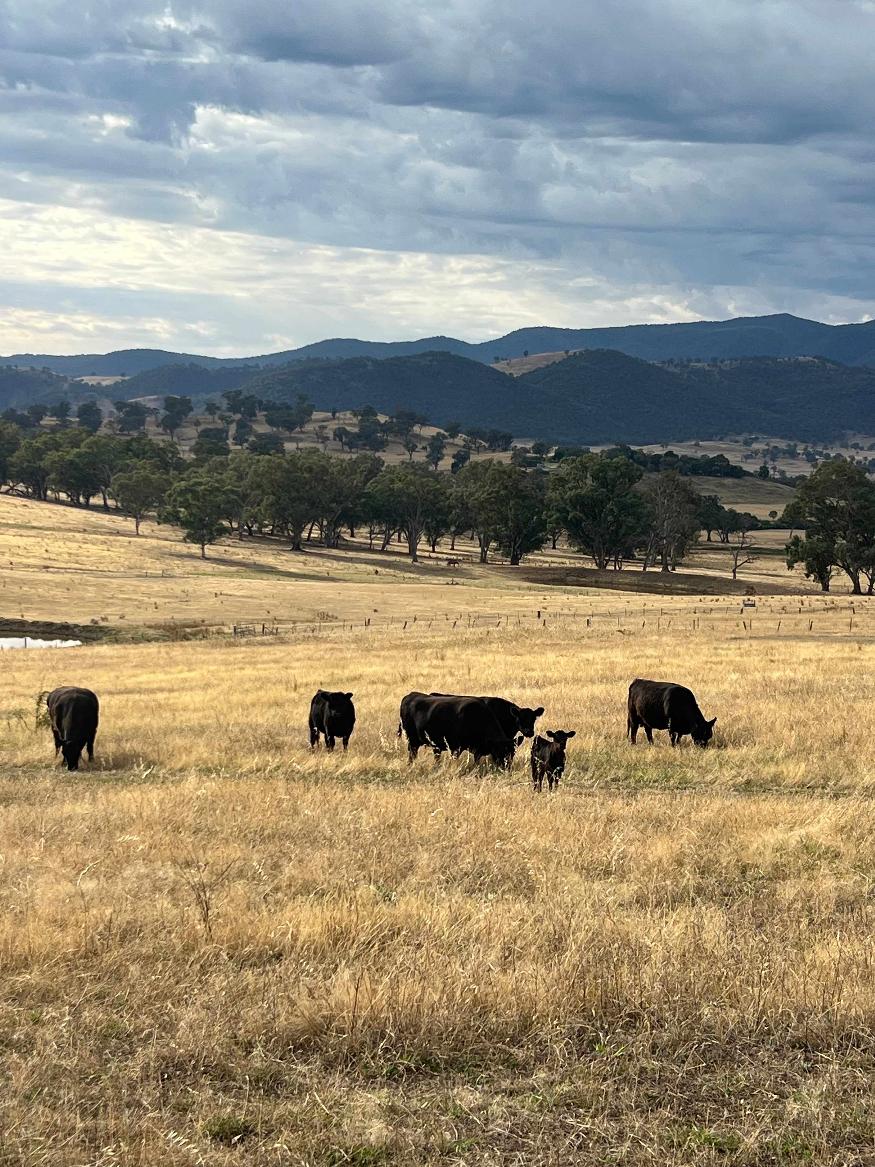 MOUNTAIN VIEW RETREAT