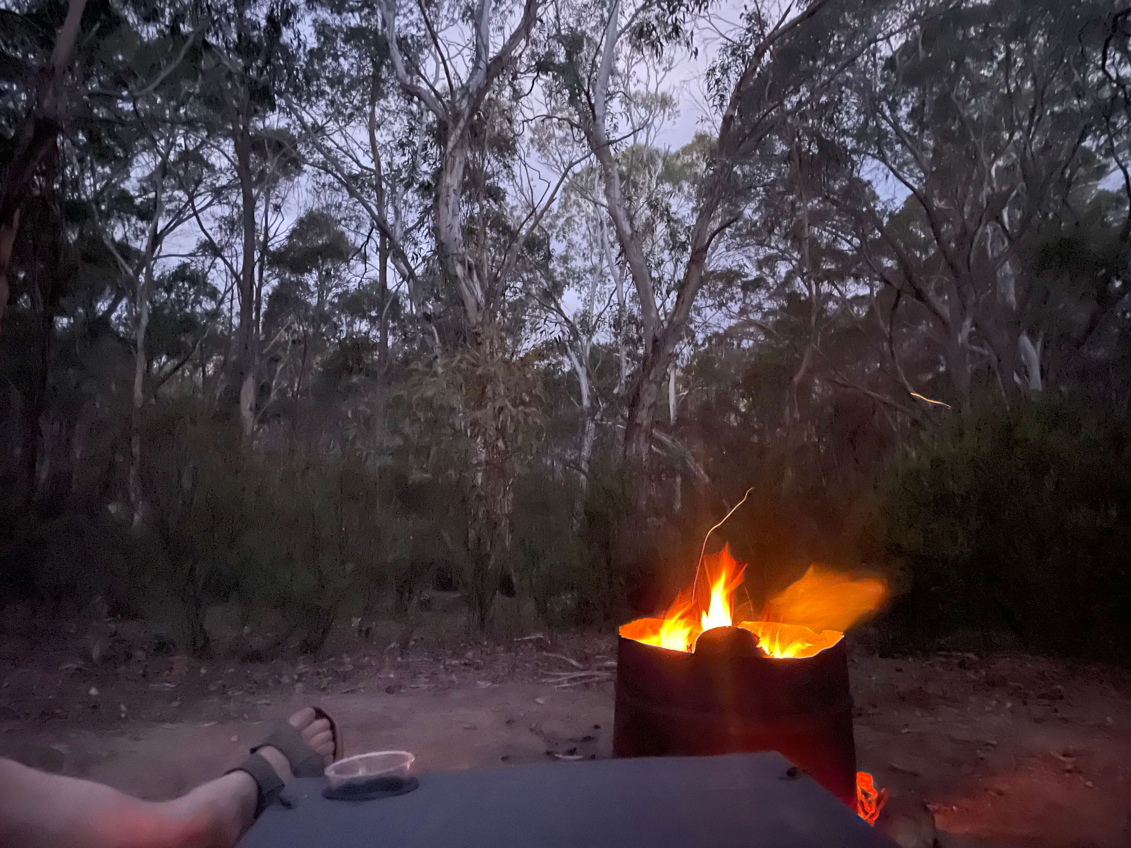 Scribbly Gum secluded bush camping