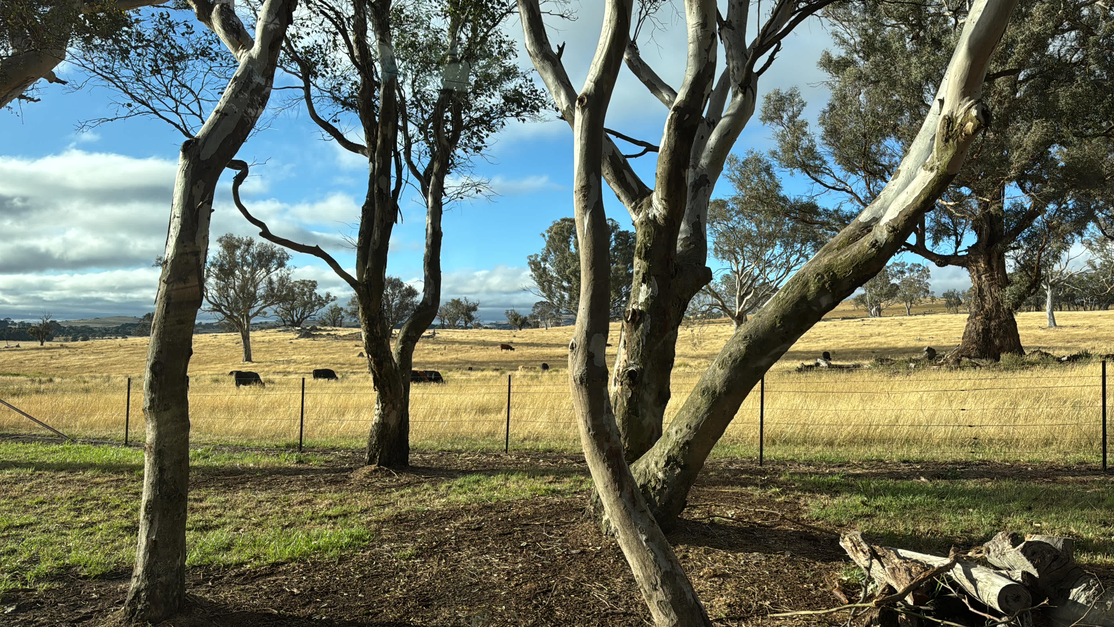 Coots Creek Campground