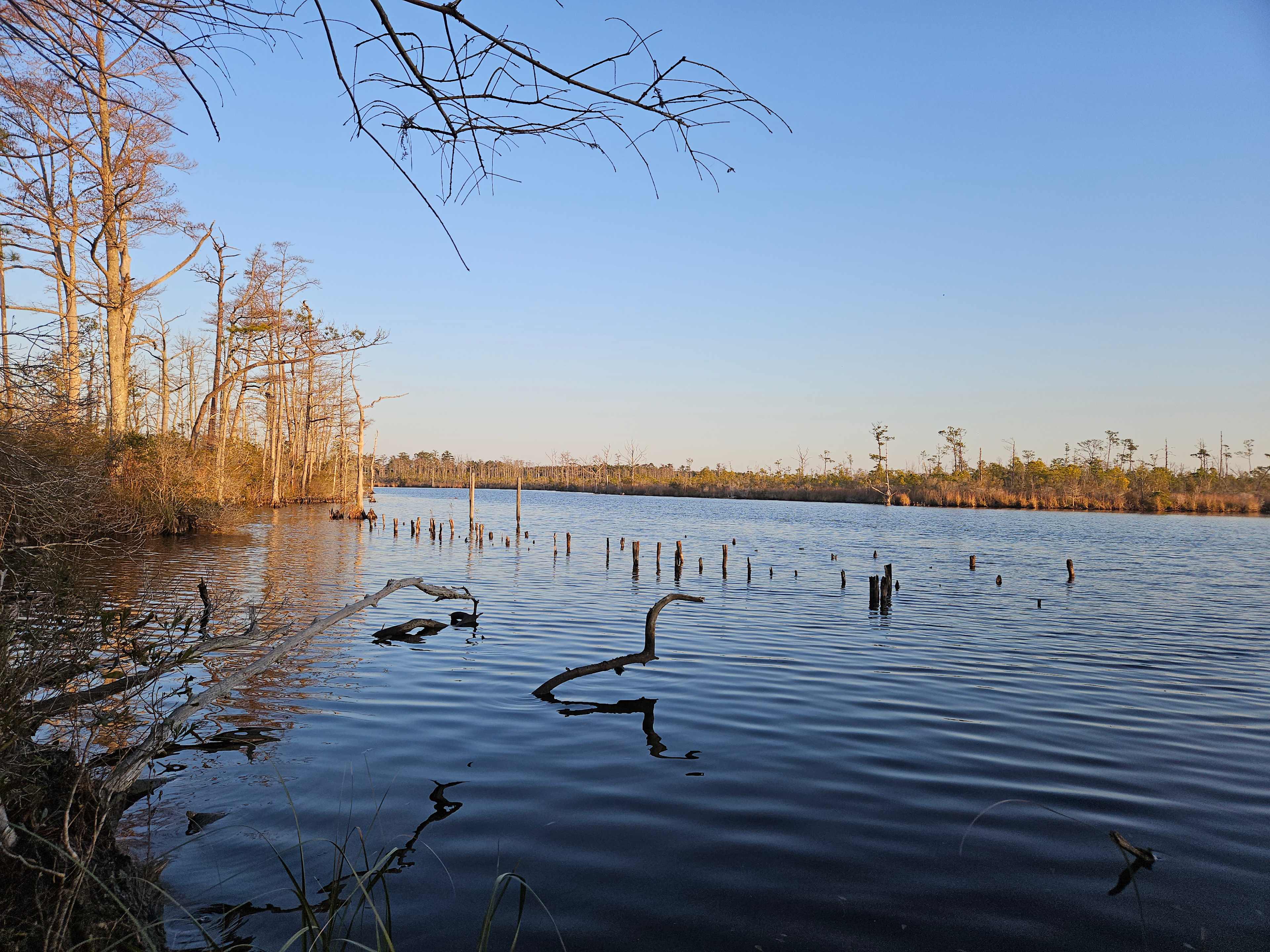 Gator Creek Private Retreat