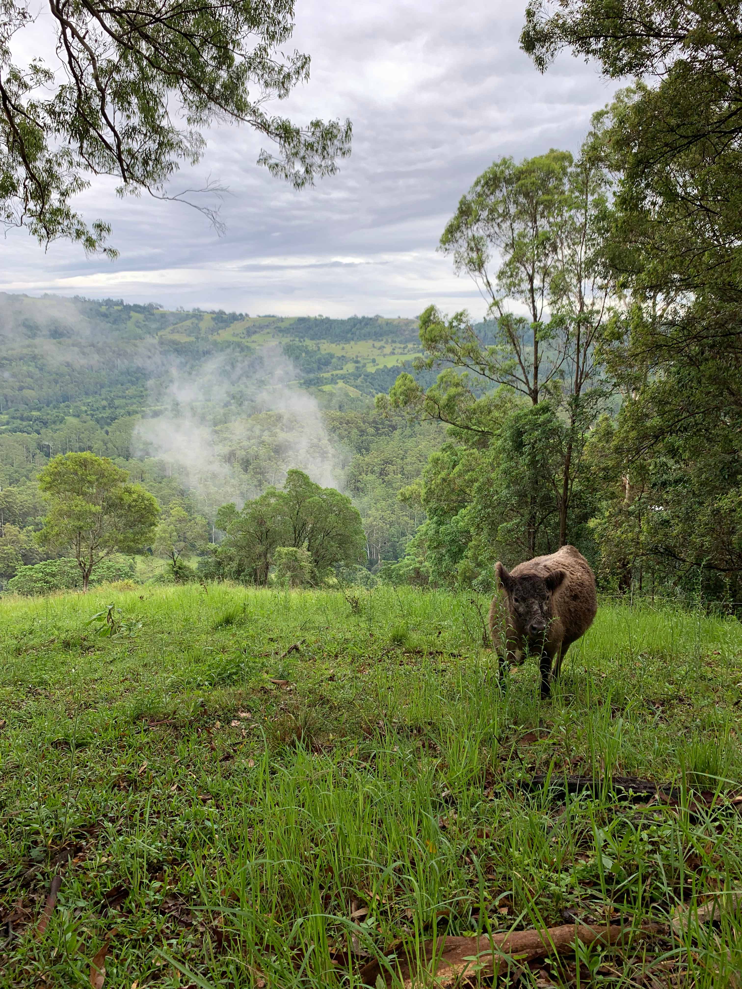 Wonderland 4WD Bushcamp