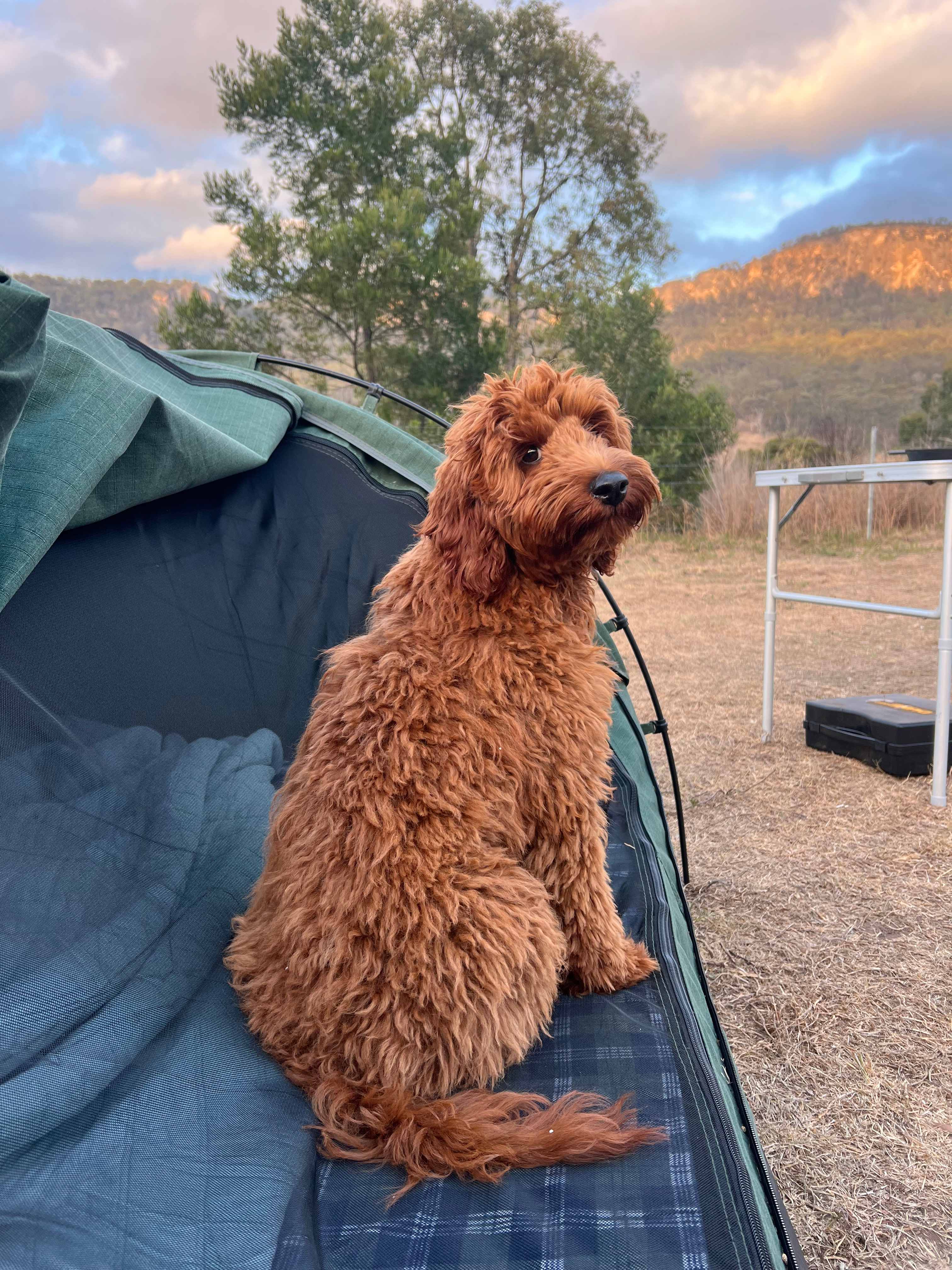 The Nile Off Grid family farm