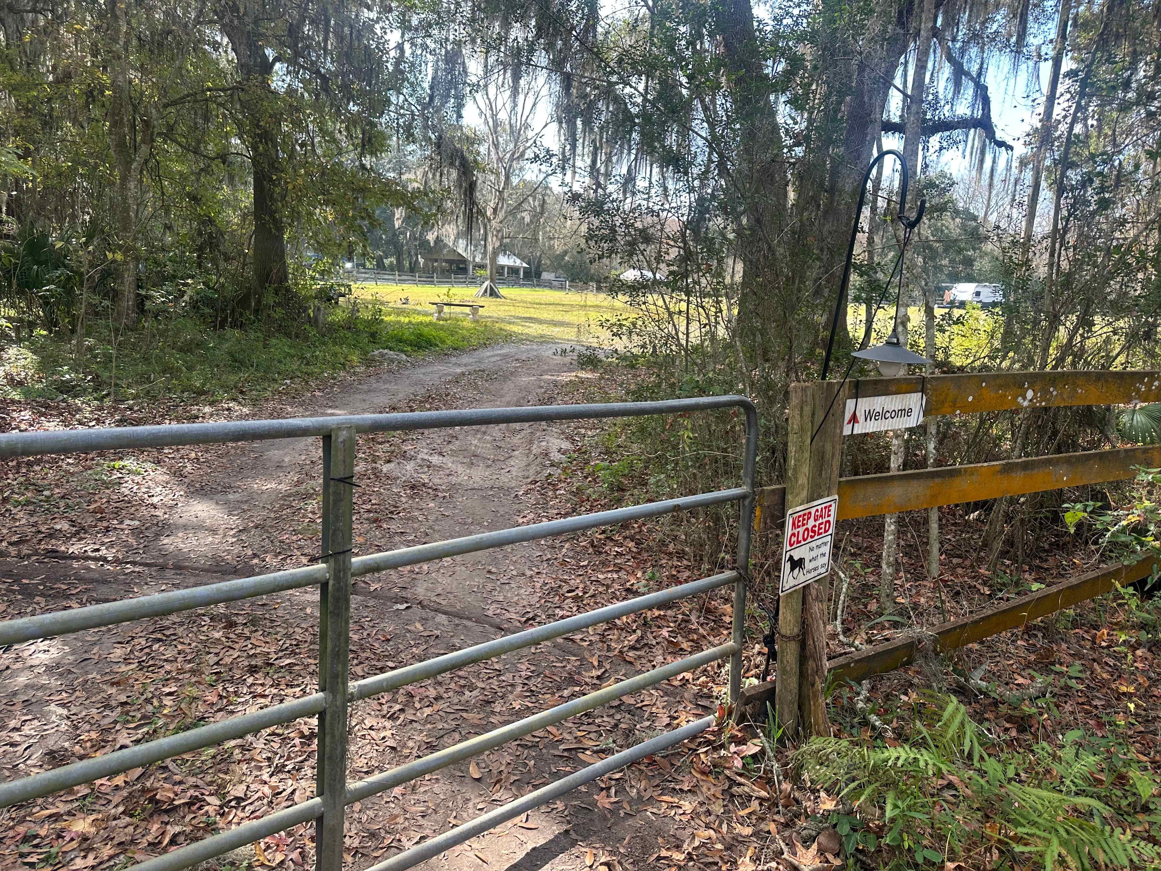 Wooded areas in a horse pasture