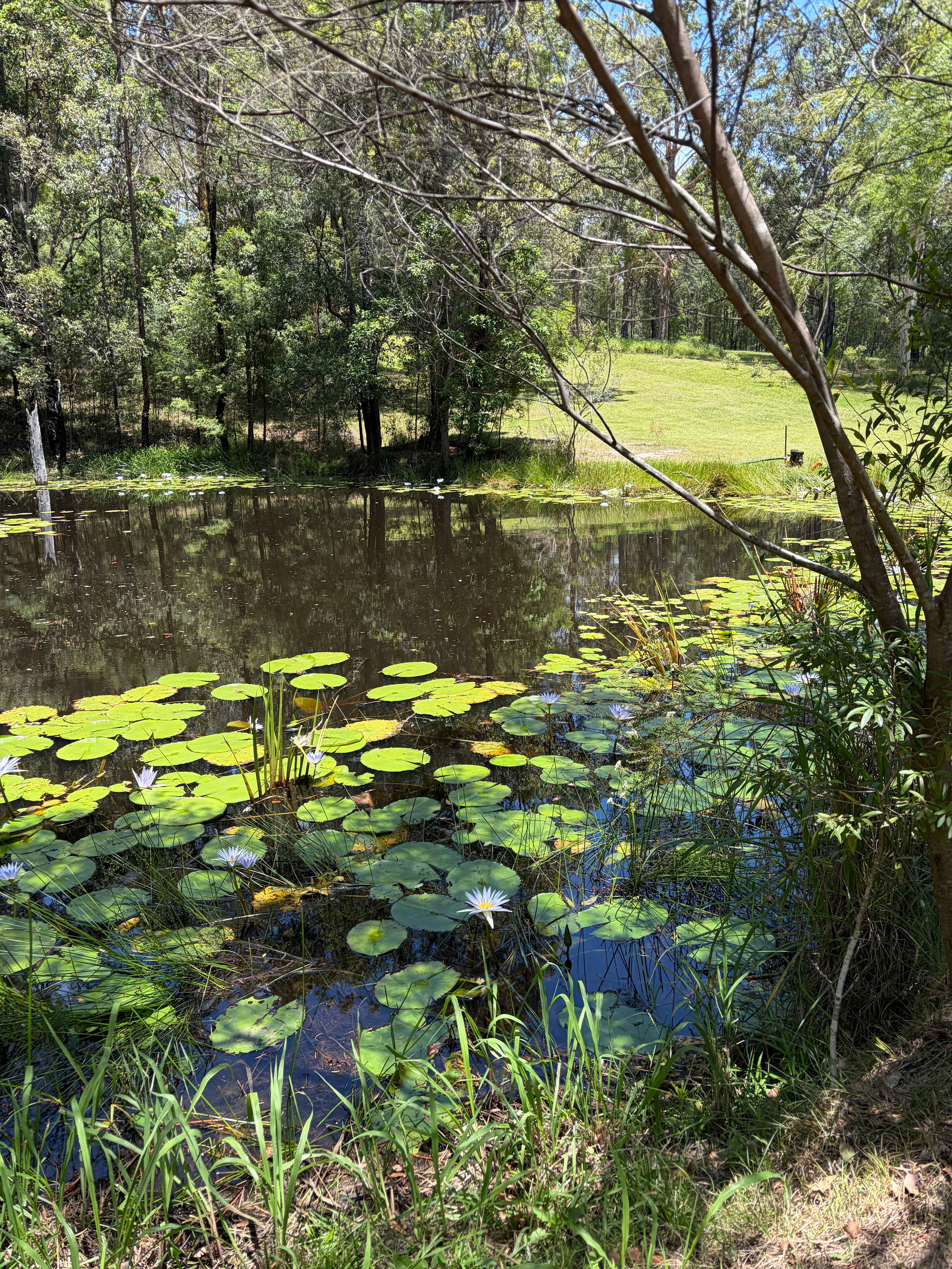 The Good Life Camping