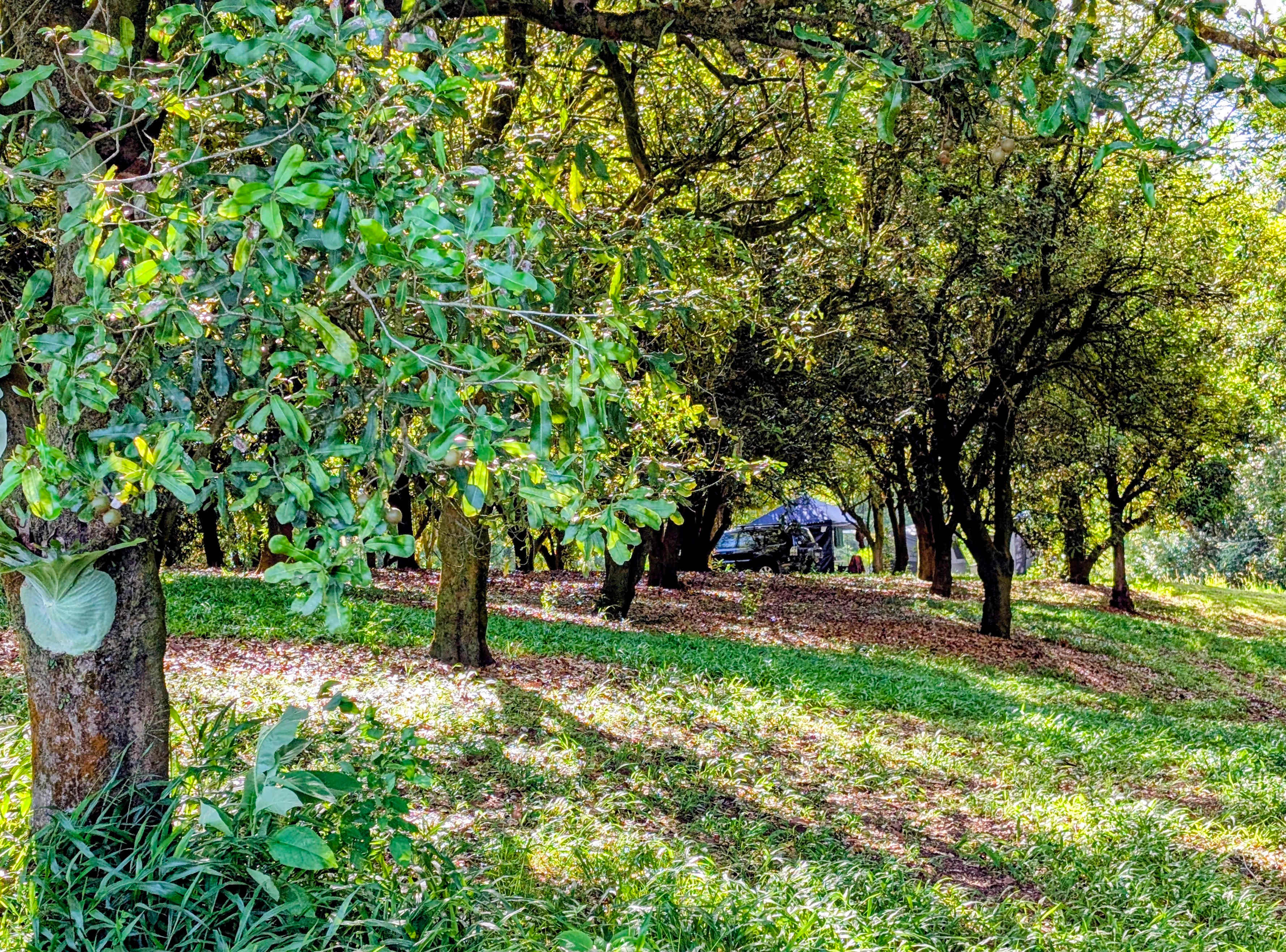 Rolling Hills Estate