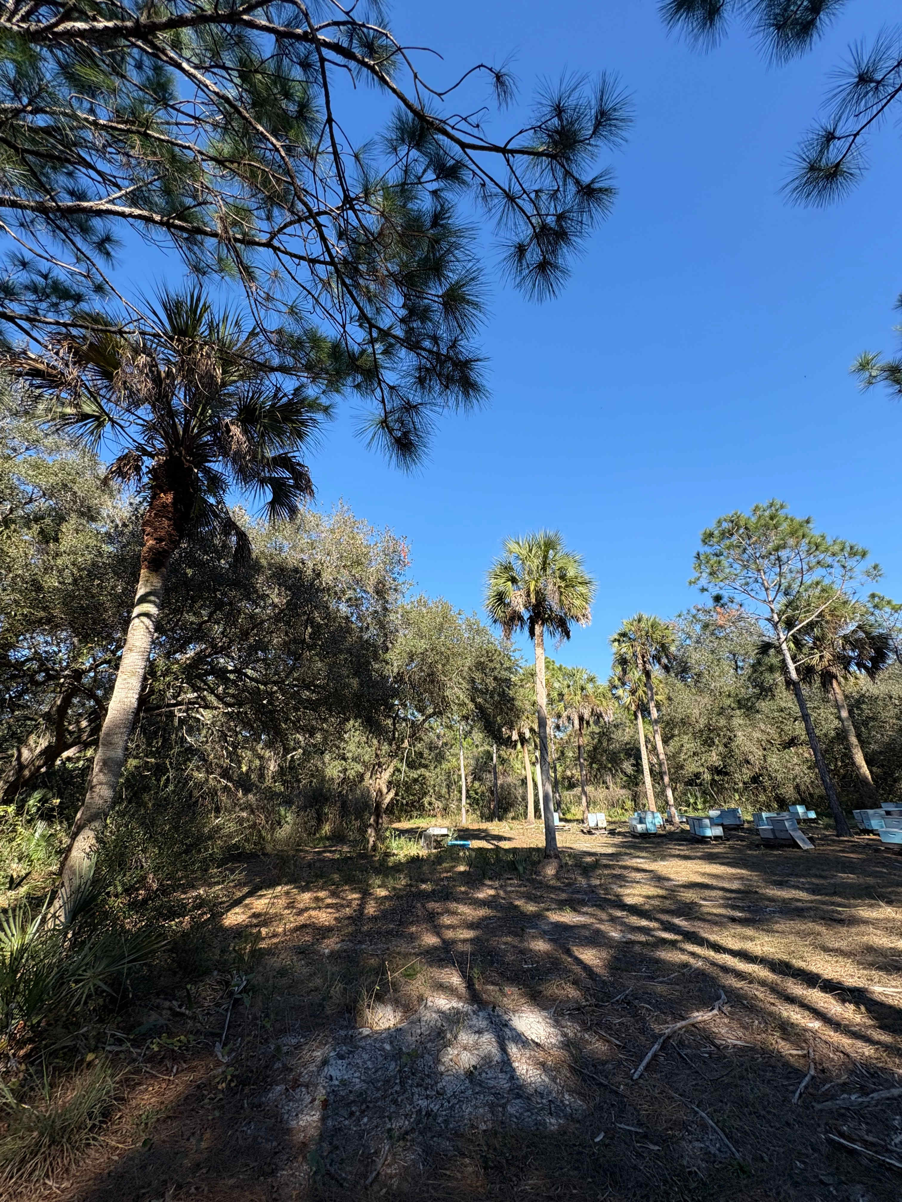 The Four Oaks Getaway