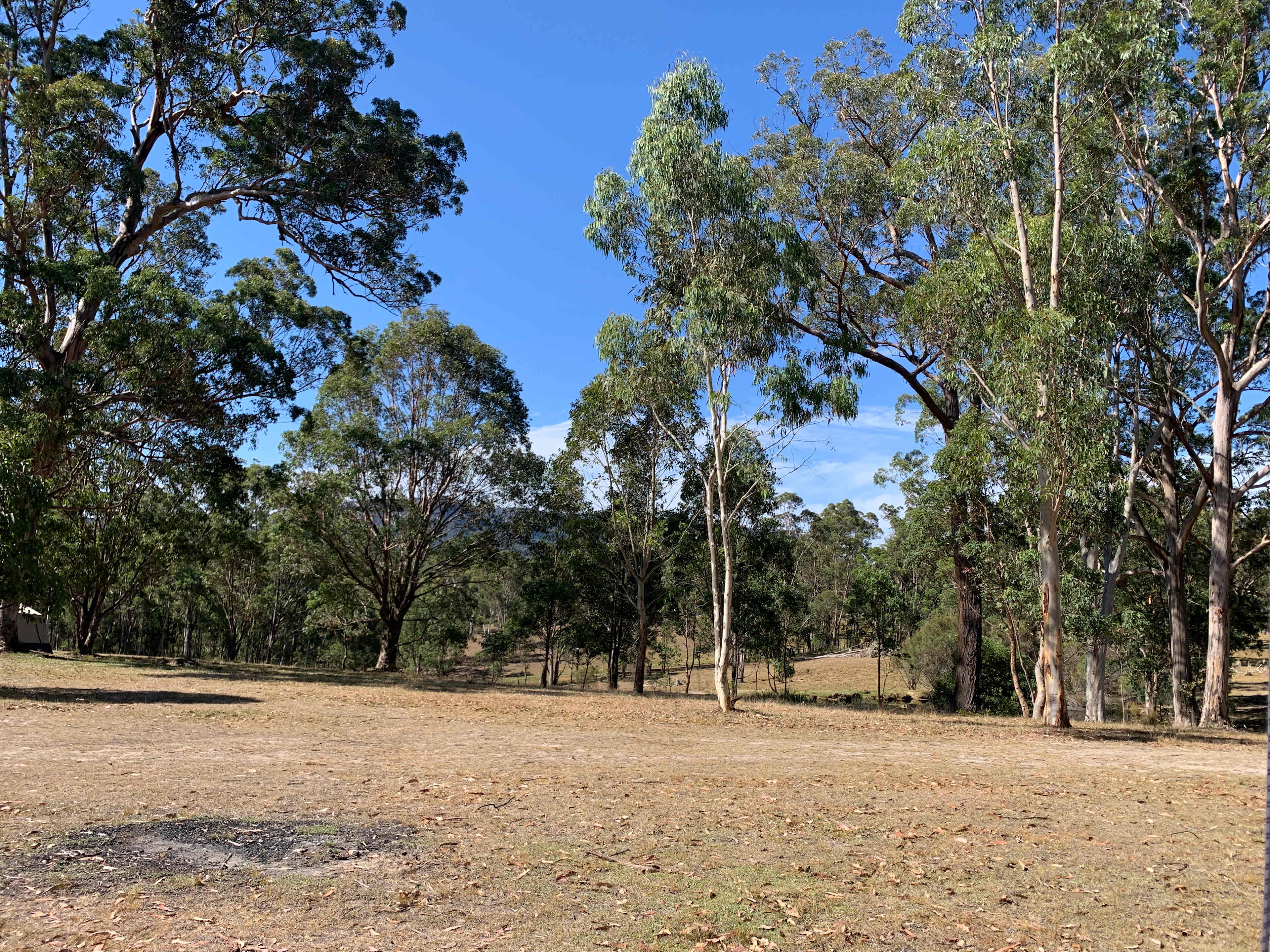 Megalong Valley Farm