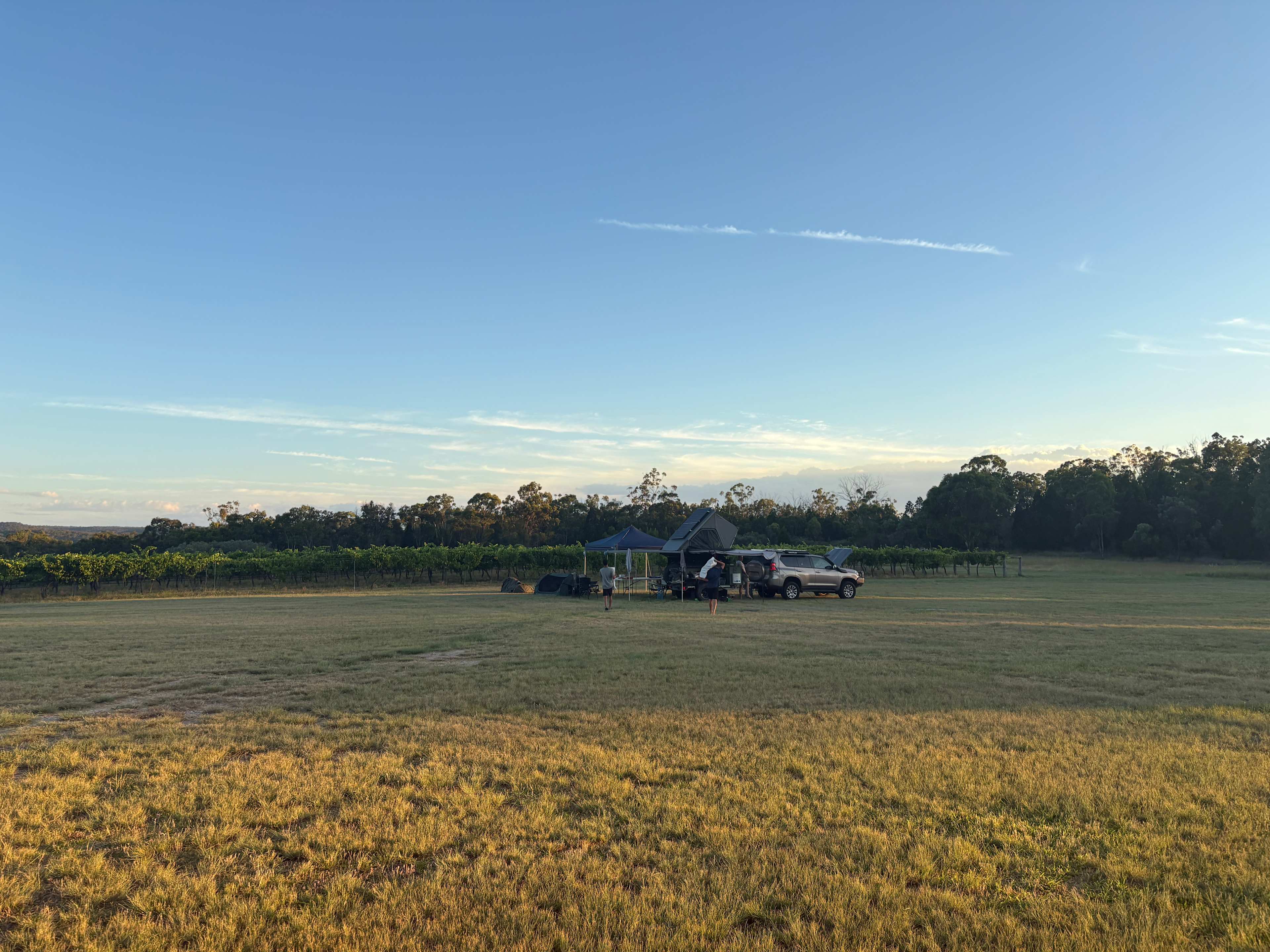 Mountview Wines Camping and Cabins