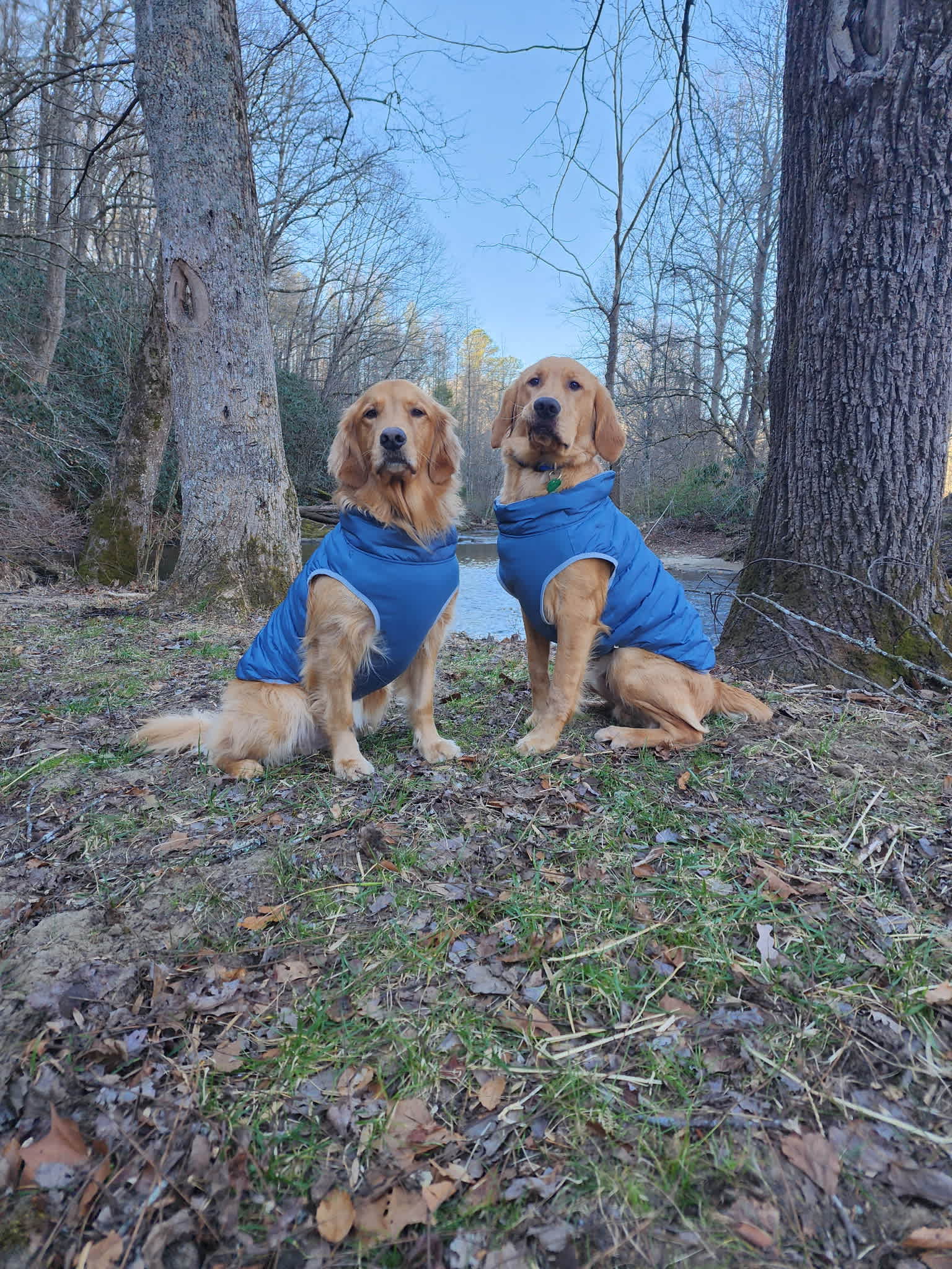 Finn and Cooper loved the property!