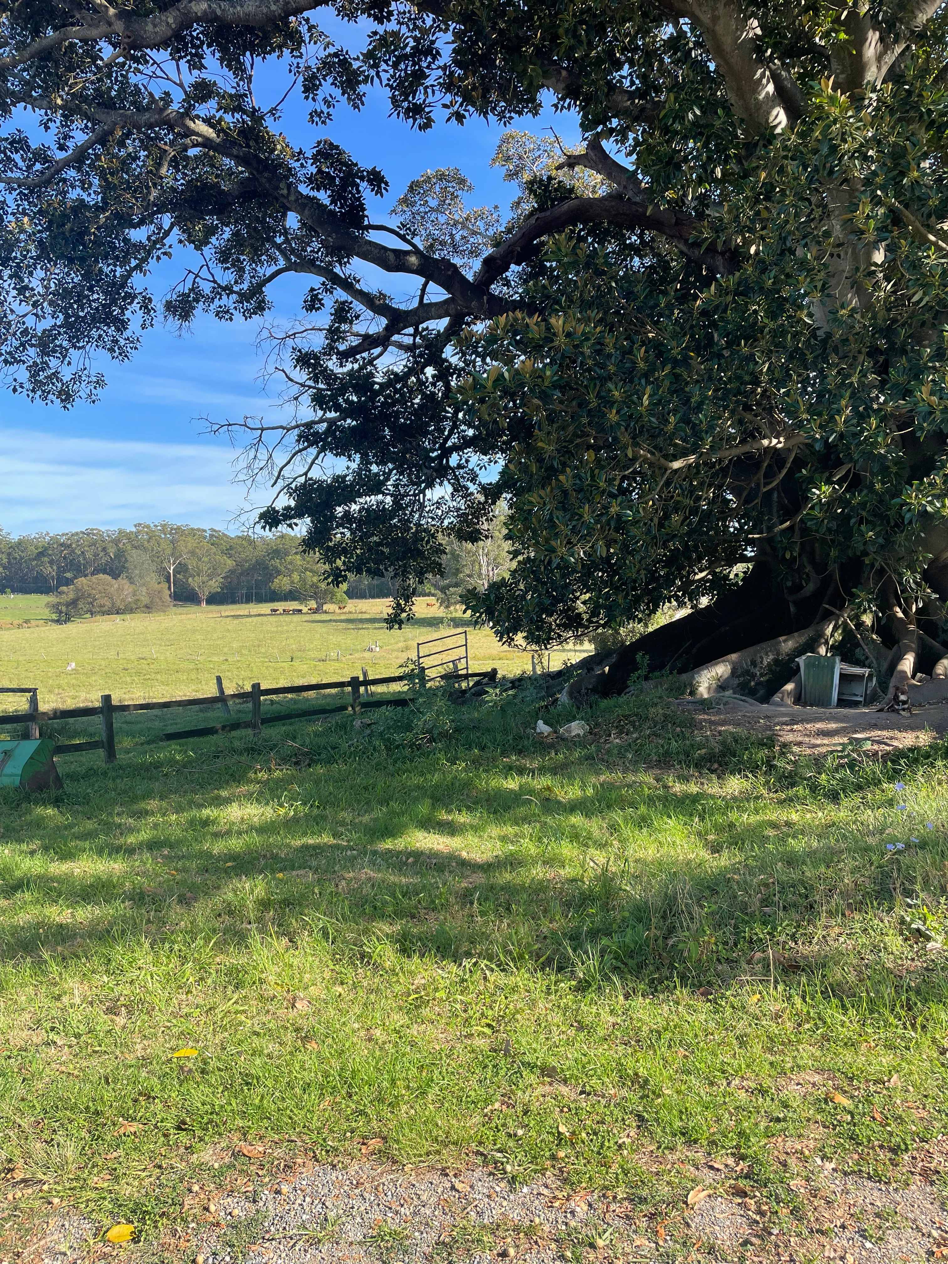 Doraville Farm Campsite